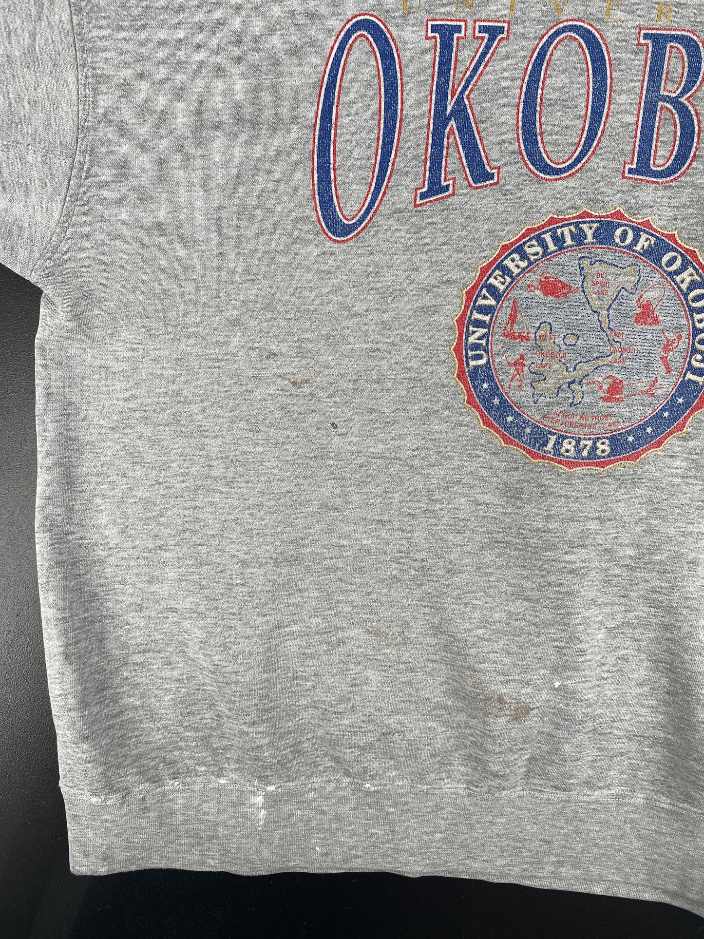 90's STARTER x UNIVERSITY OF OKOBOJI Size XL Vintage College Sweat-shirt / G4360S