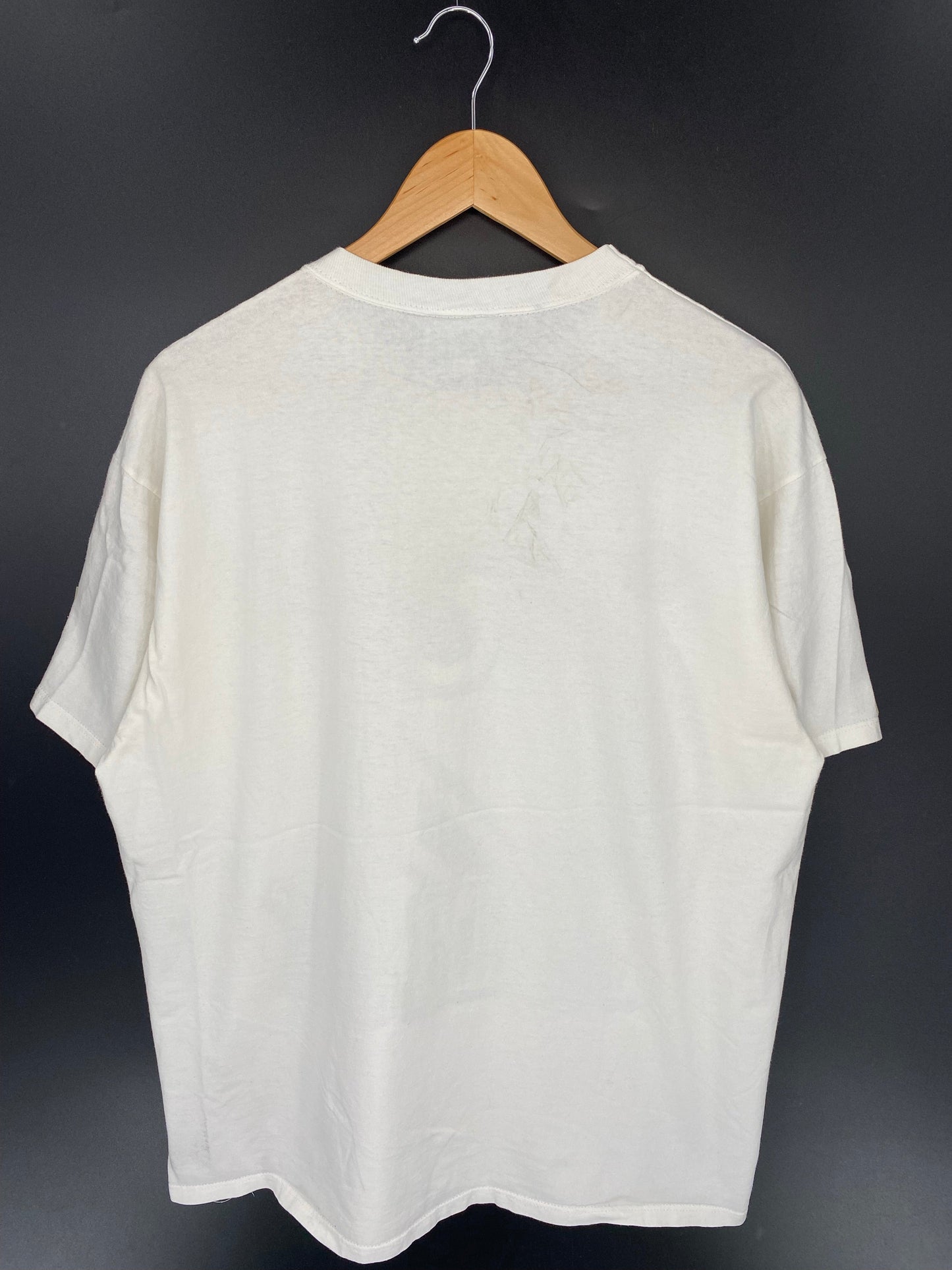 1995 CHICAGO WHITE SOX Size XL Vintage MLB T-Shirt / F2197T