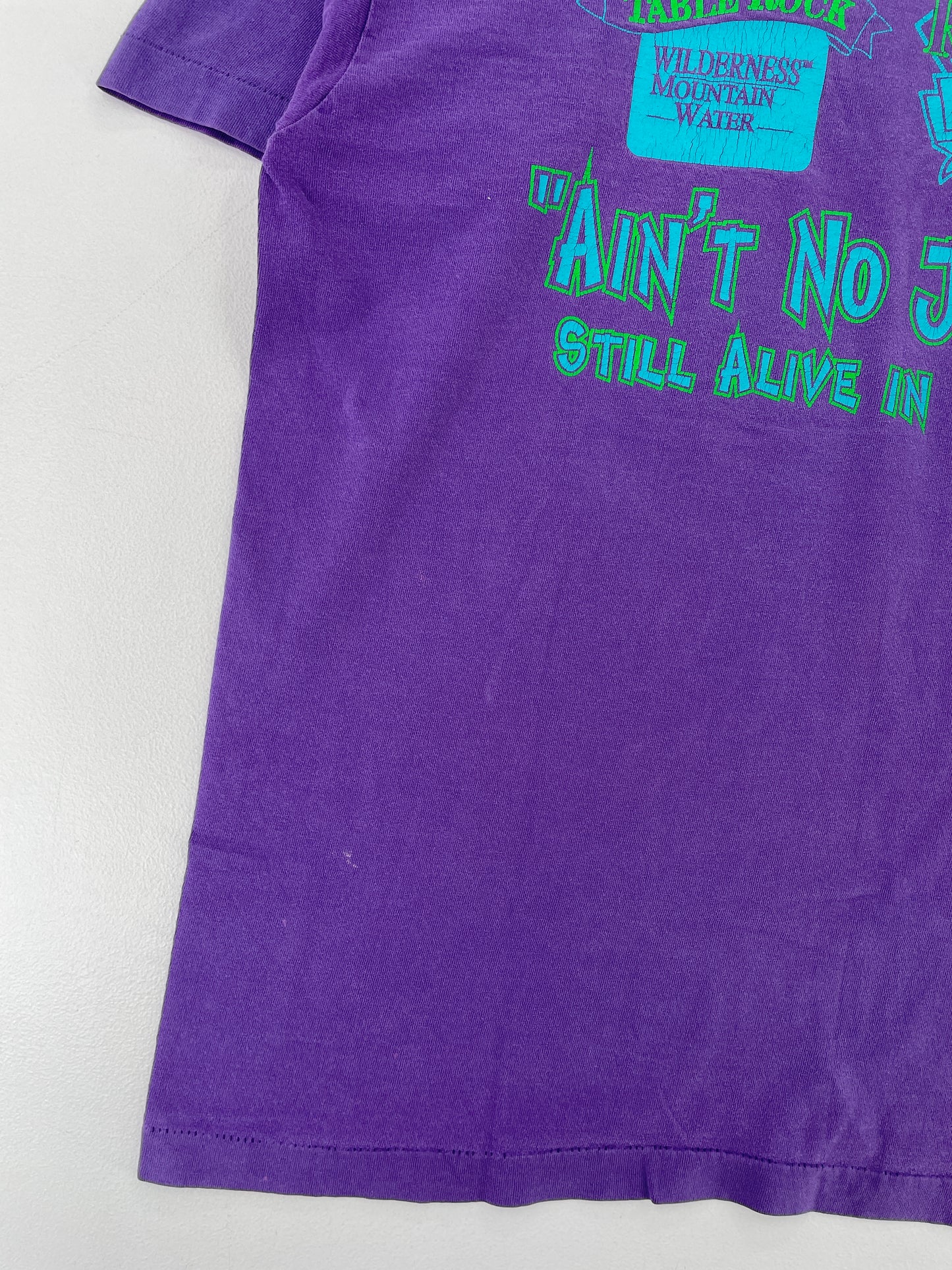 1995 THE FLINTSTONES Made in USA Size L Vintage T-Shirt / E8061T