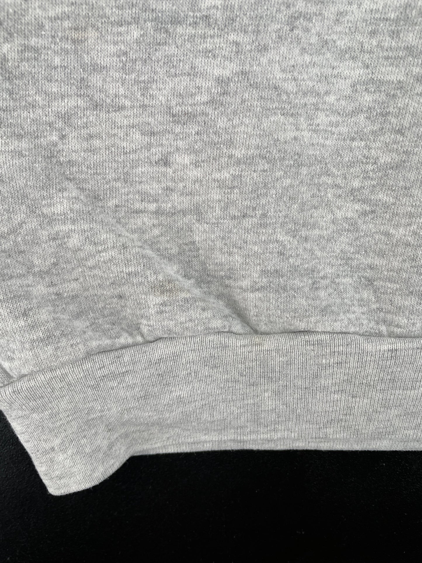 1993 CAROLINA PANTHERS Made in USA Size L Vintage NFL Sweat-shirt / F9518S