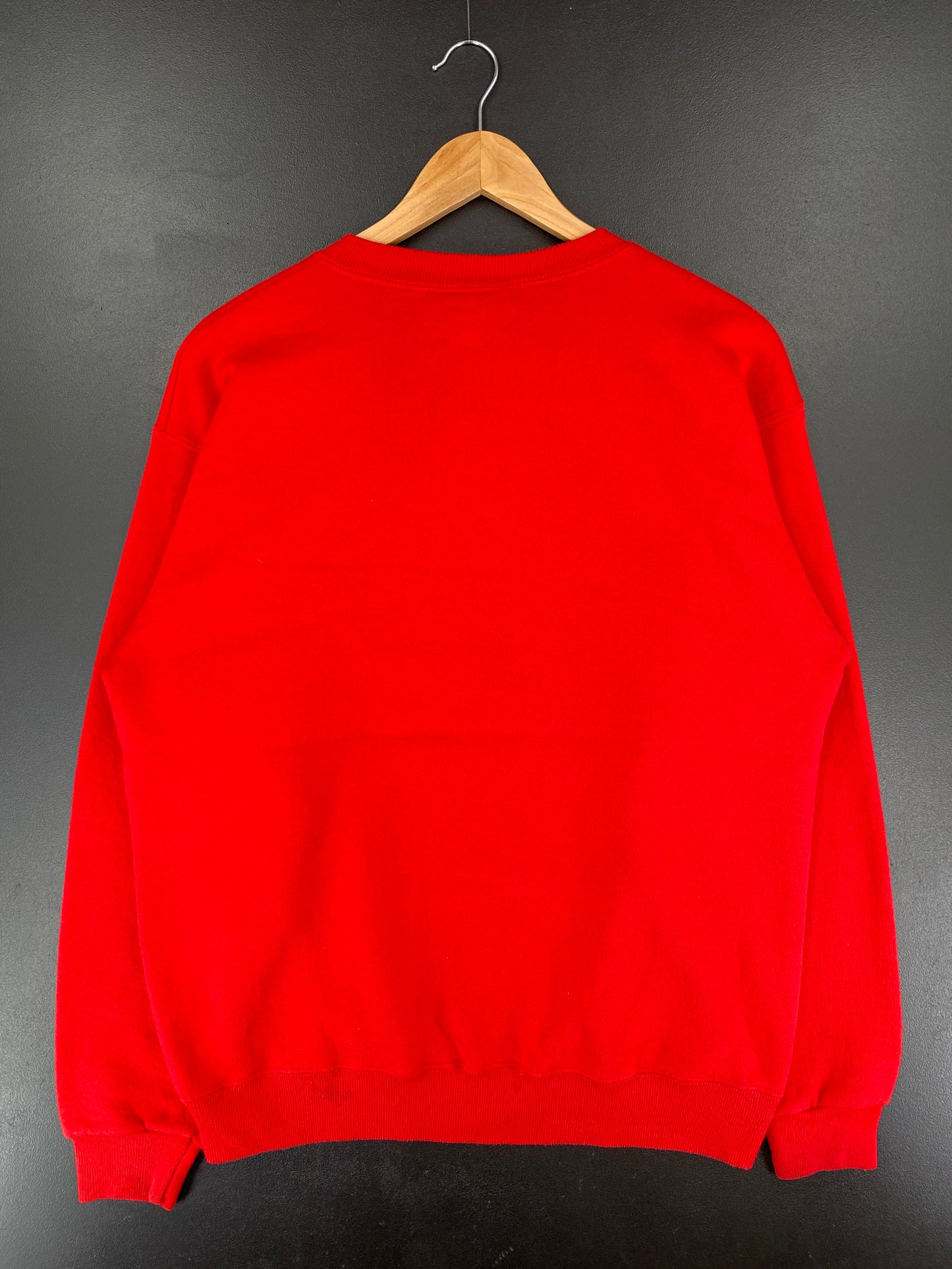 1995 SAN FRANCISCO 49ERS Size XL Vintage NFL Sweat-Shirt / E7992S
