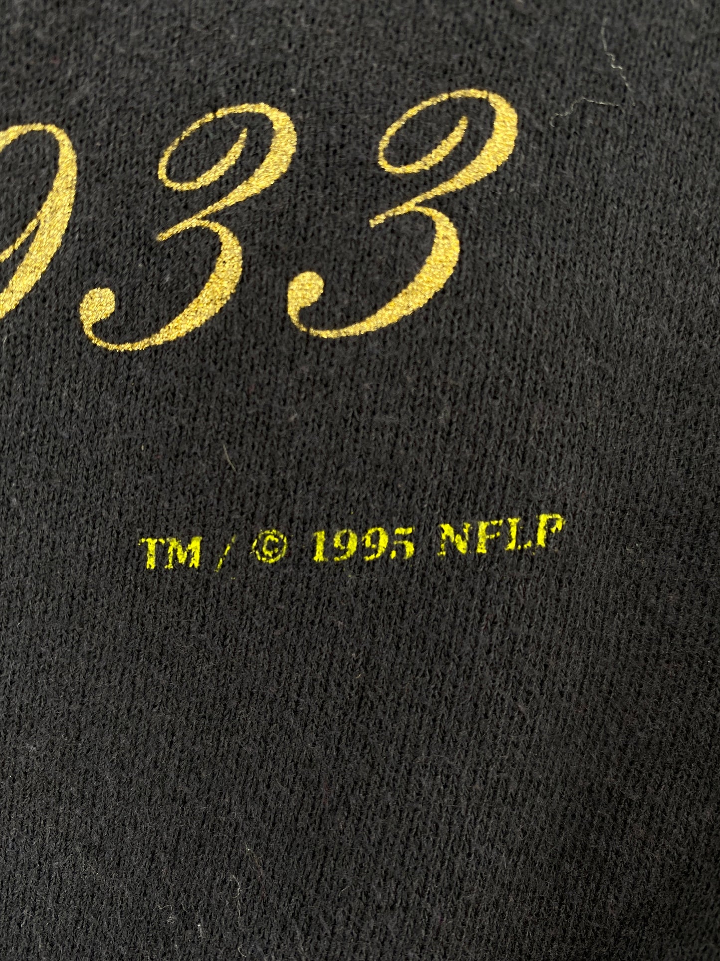 1995 PITTSBURGH STEELERS Made in USA Size L Vintage NFL Sweat-Shirt / F8450S