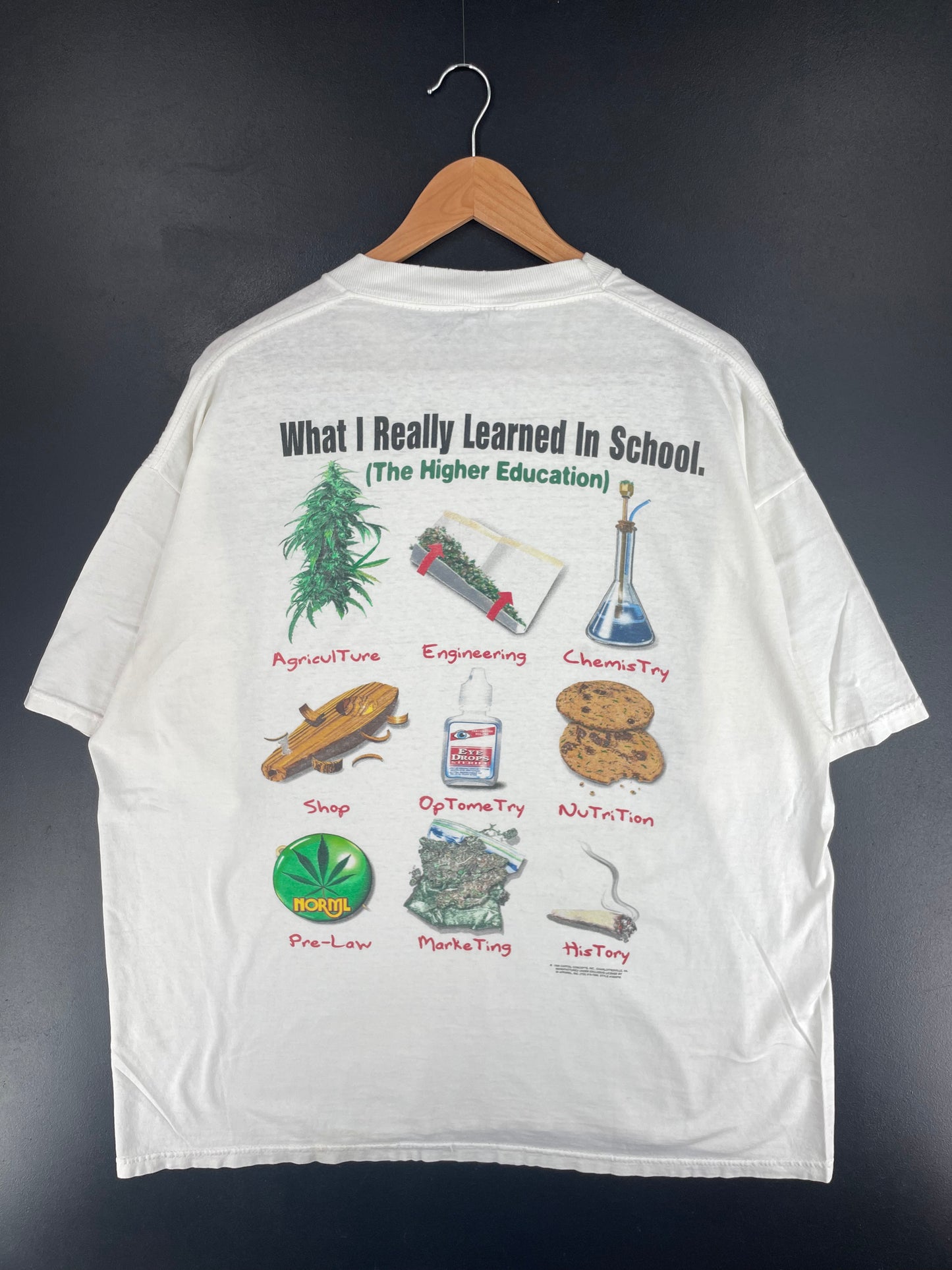 1999 WHAT I REALLY LEARNED IN SCHOOL Size No Tag (Approx. XL) Vintage T-shirt / E8695T