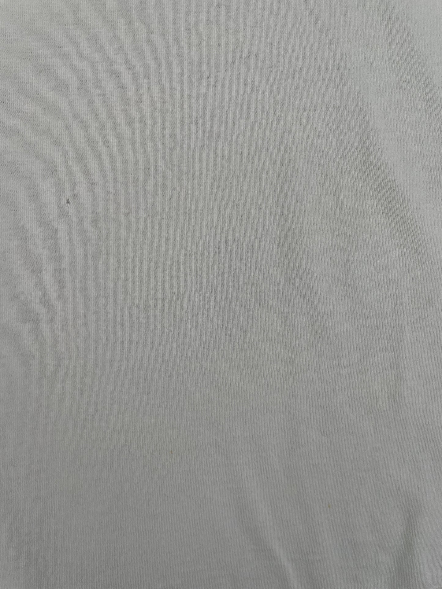 90’s DUNKIN DONUTS parody GOIN’ FUKINUTS Size L Vintage T-shirt / E8427T