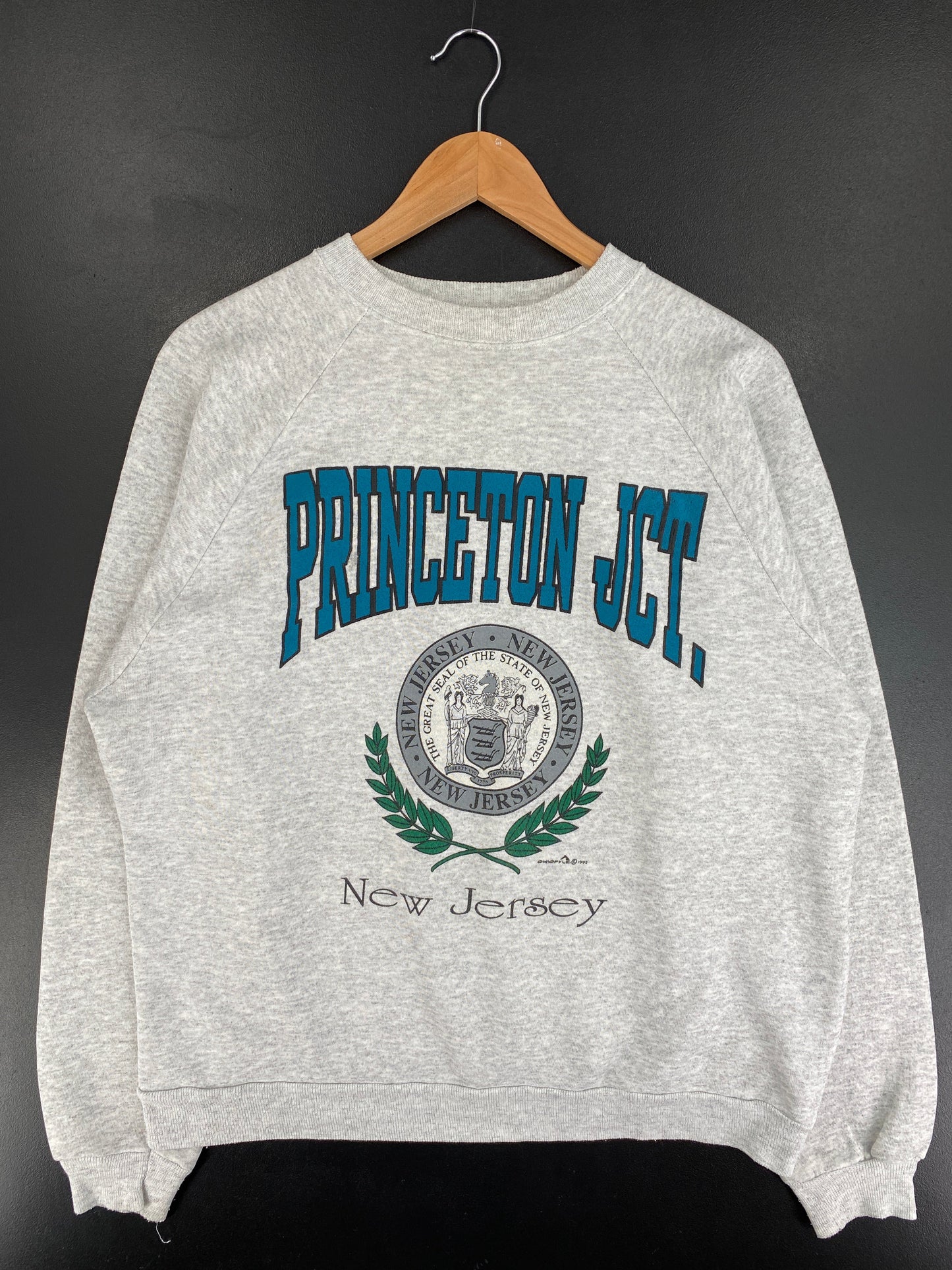 90’s PRINCETON JCT. Size XL College Sweat-shirt / G2939S