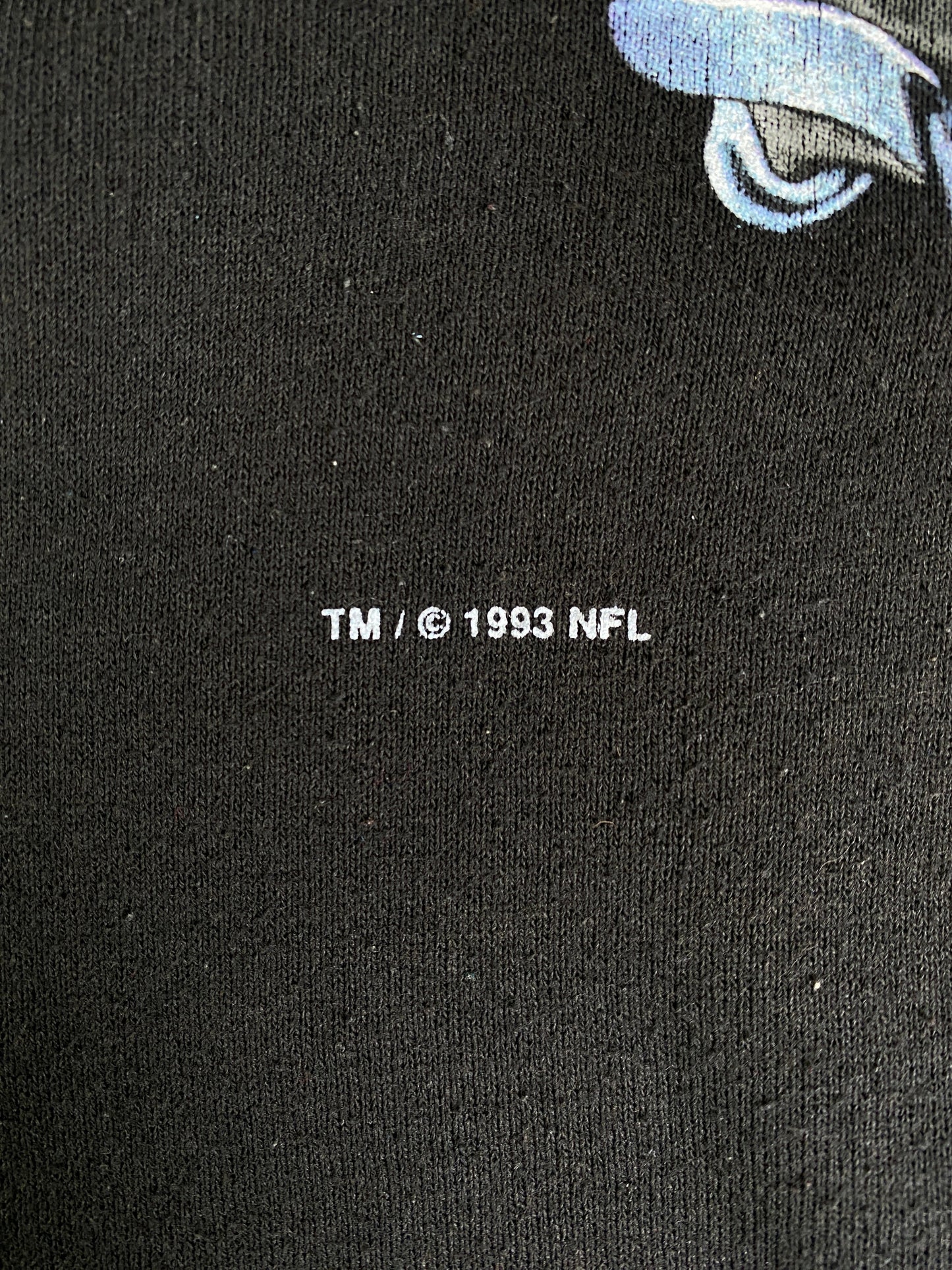 1993 SALEM x CAROLINA PANTHERS Made in USA Size XL NFL Sweatshirt / G6879S