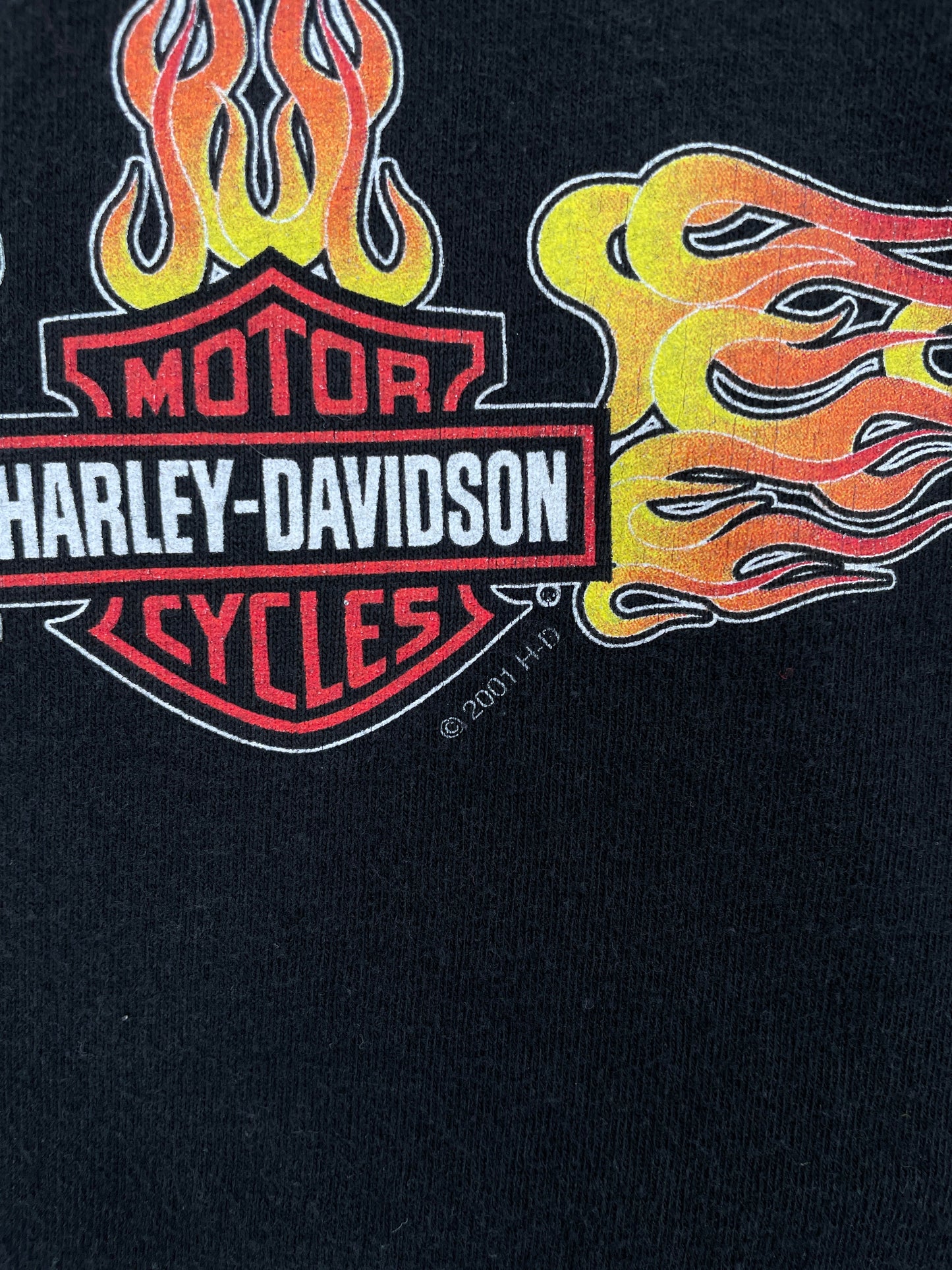 .2001 HARLEY DAVIDSON Size Ladies.L Vintage Long Sleevs T-shirt / F8282T