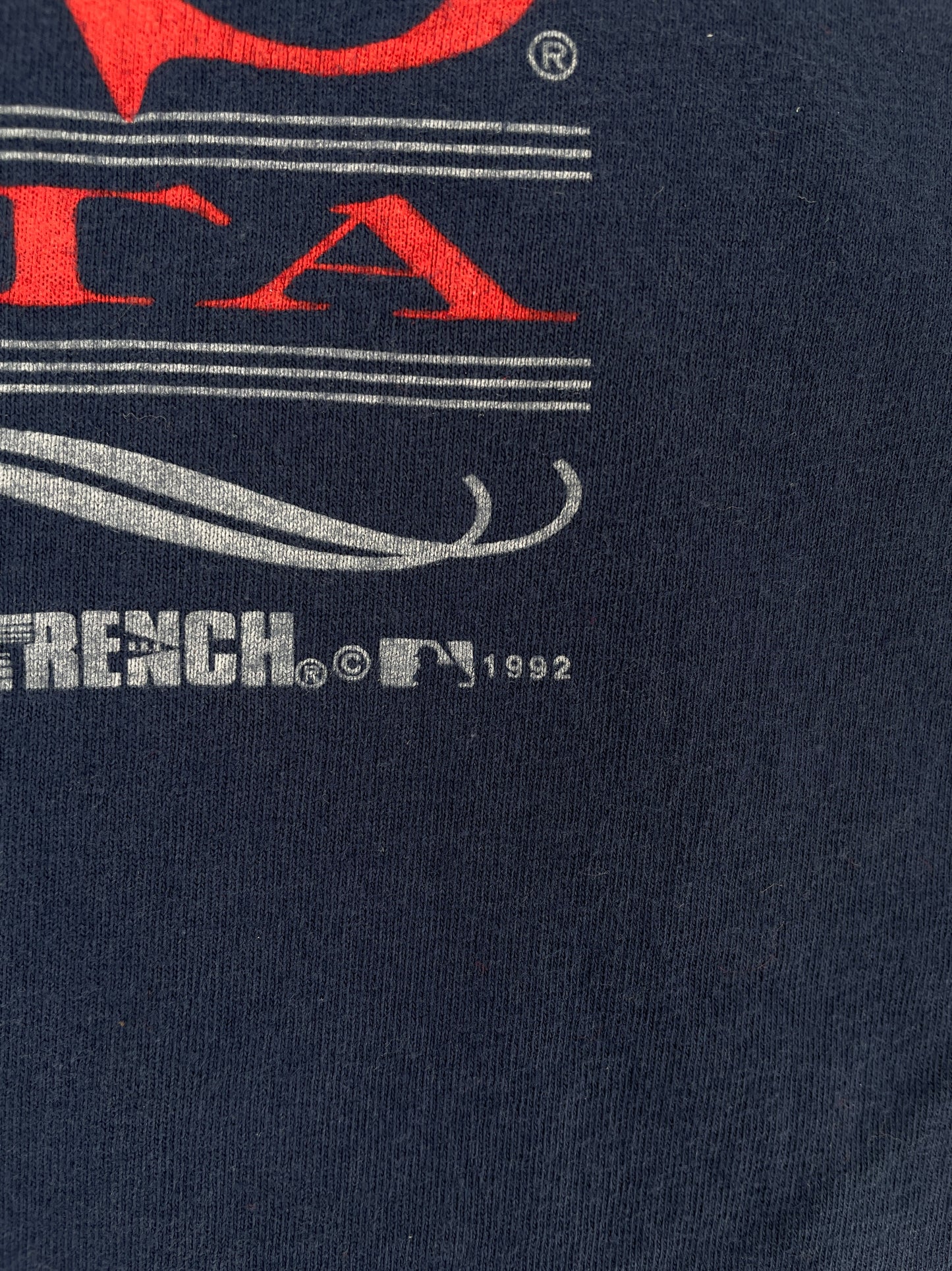 1992 MINNESOTA TWINS Made in USA Size L Vintage MLB T-Shirt / F2800T