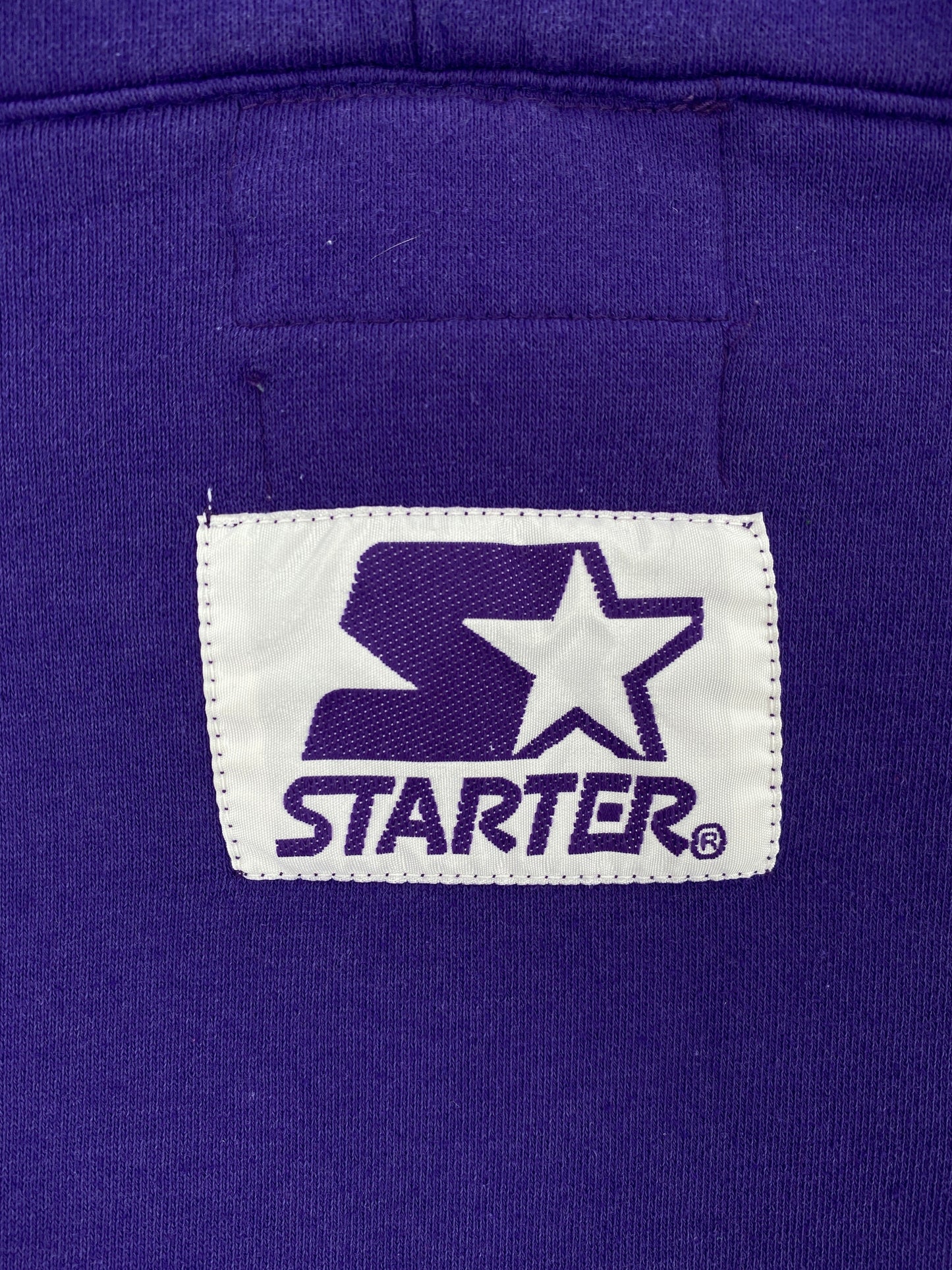 90’s STARTER x MINNESOTA VIKINGS Size XL Vintage NFL Hoodie Sweat-Shirt / F6220S