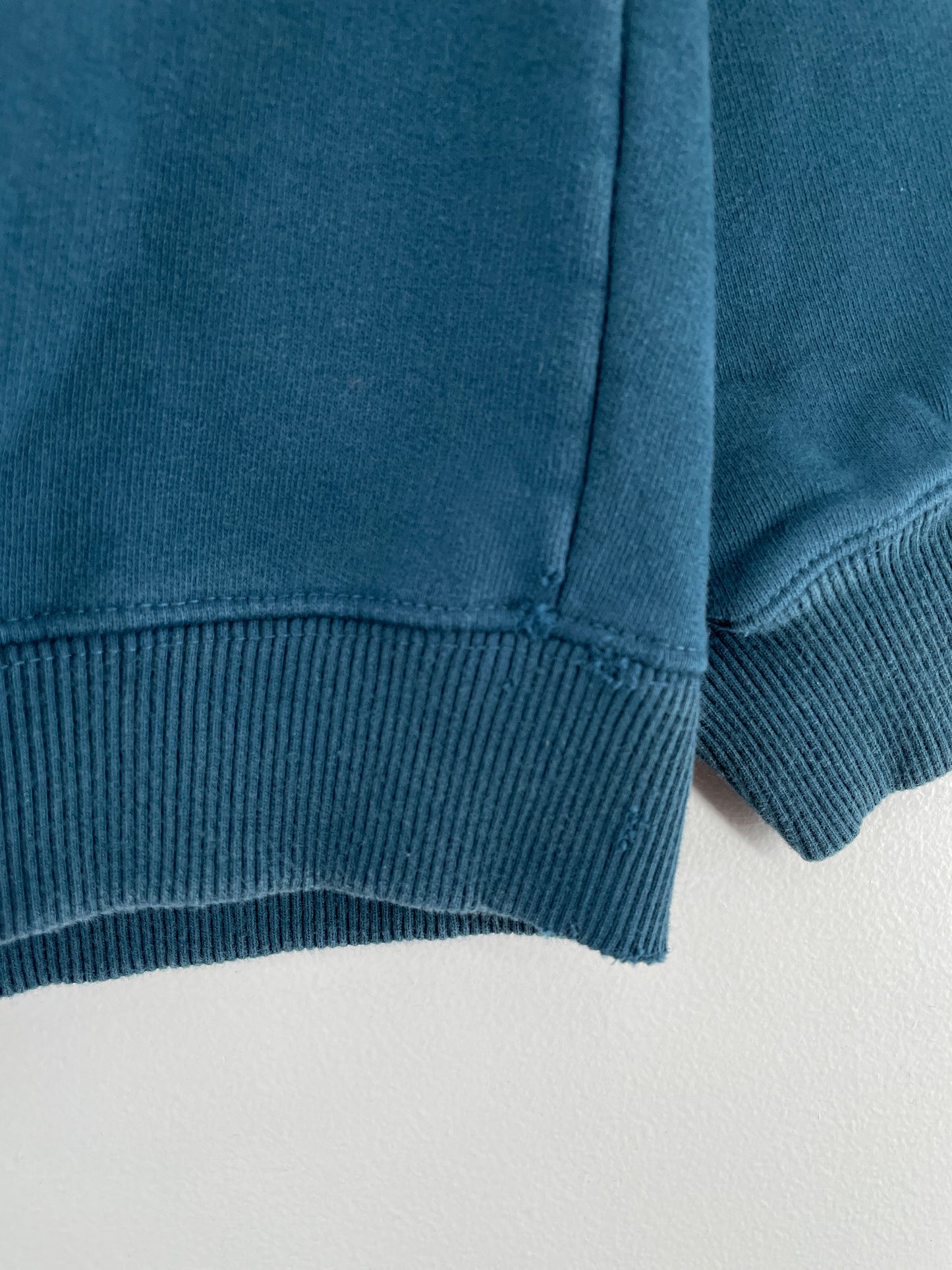 Vintage BIG DOG Size L Vintage Sweat-Shirt / E7046S