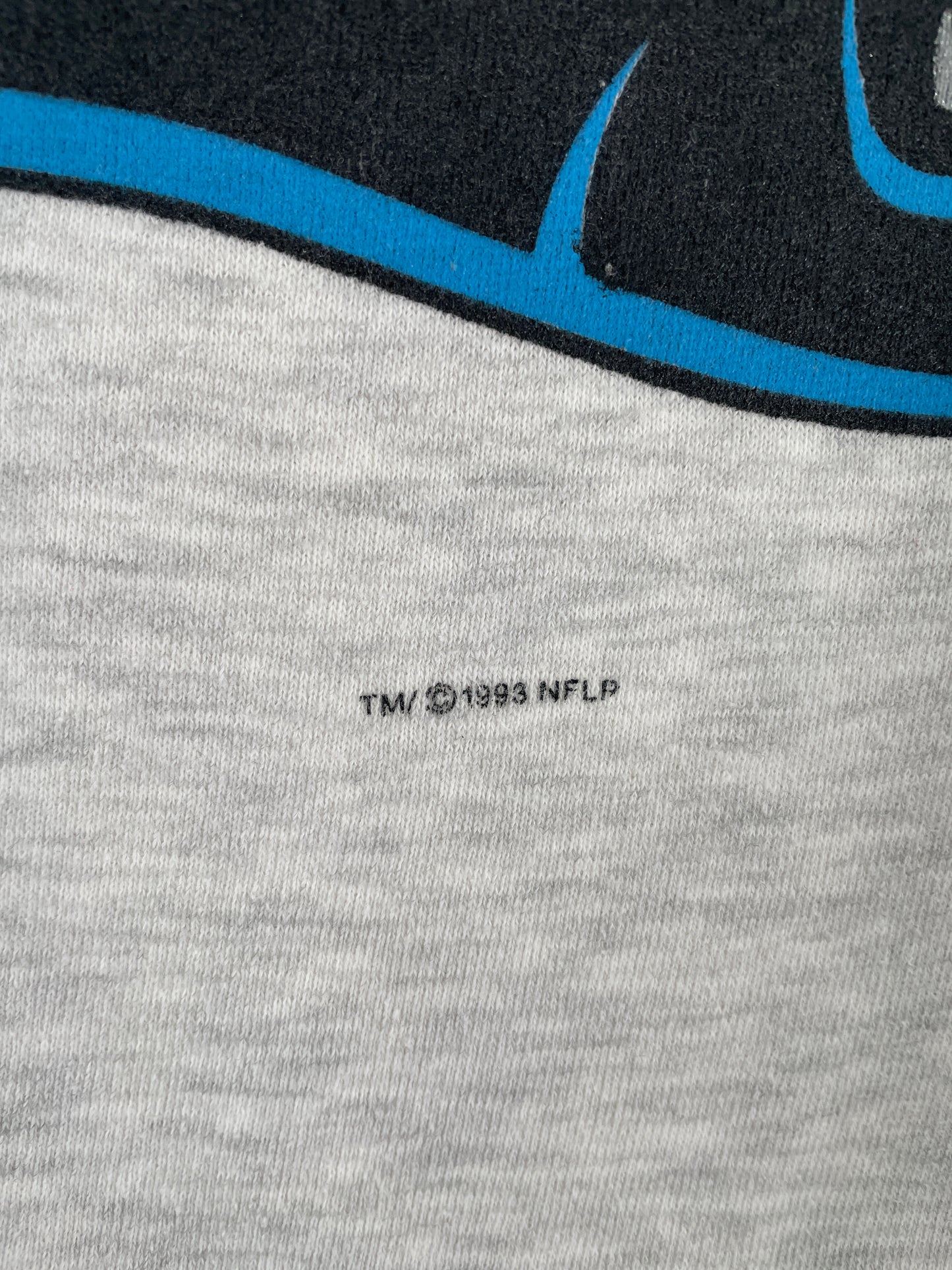 1993 STARTER x CAROLINA PANTHERS Size XL Vintage NFL Sweat-Shirt / E7312S