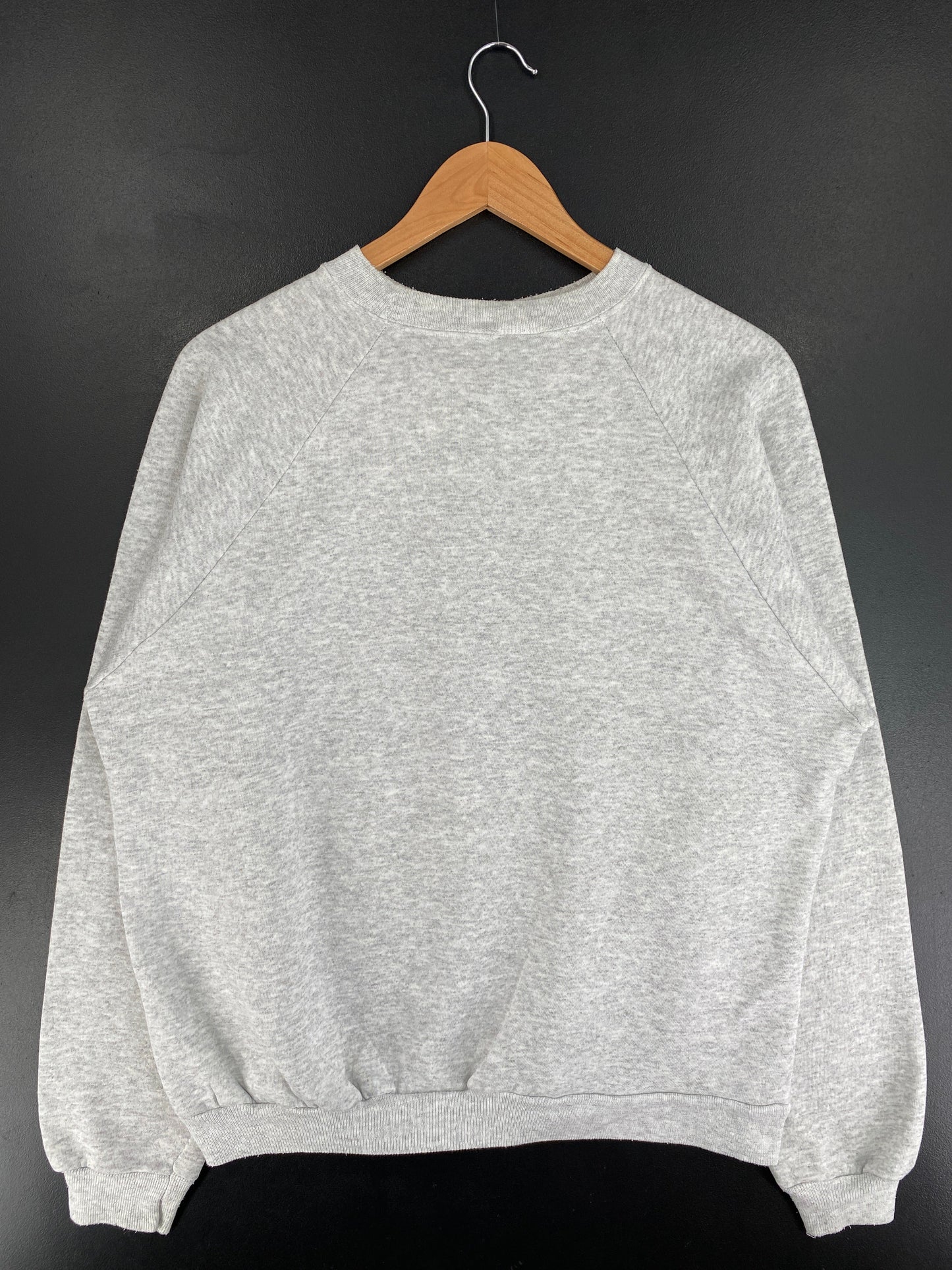 90’s PRINCETON JCT. Size XL College Sweat-shirt / G2939S