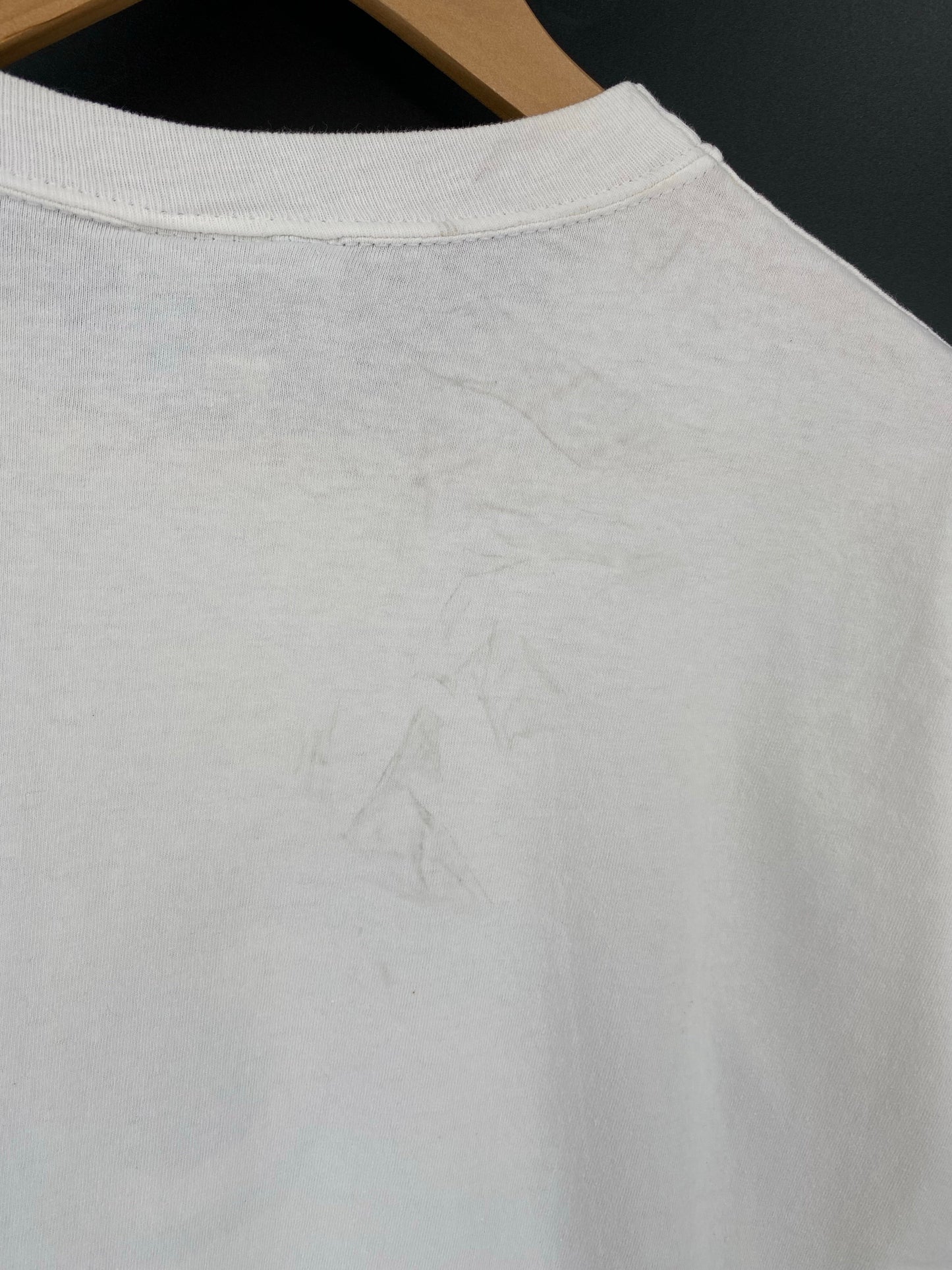 1995 CHICAGO WHITE SOX Size XL Vintage MLB T-Shirt / F2197T