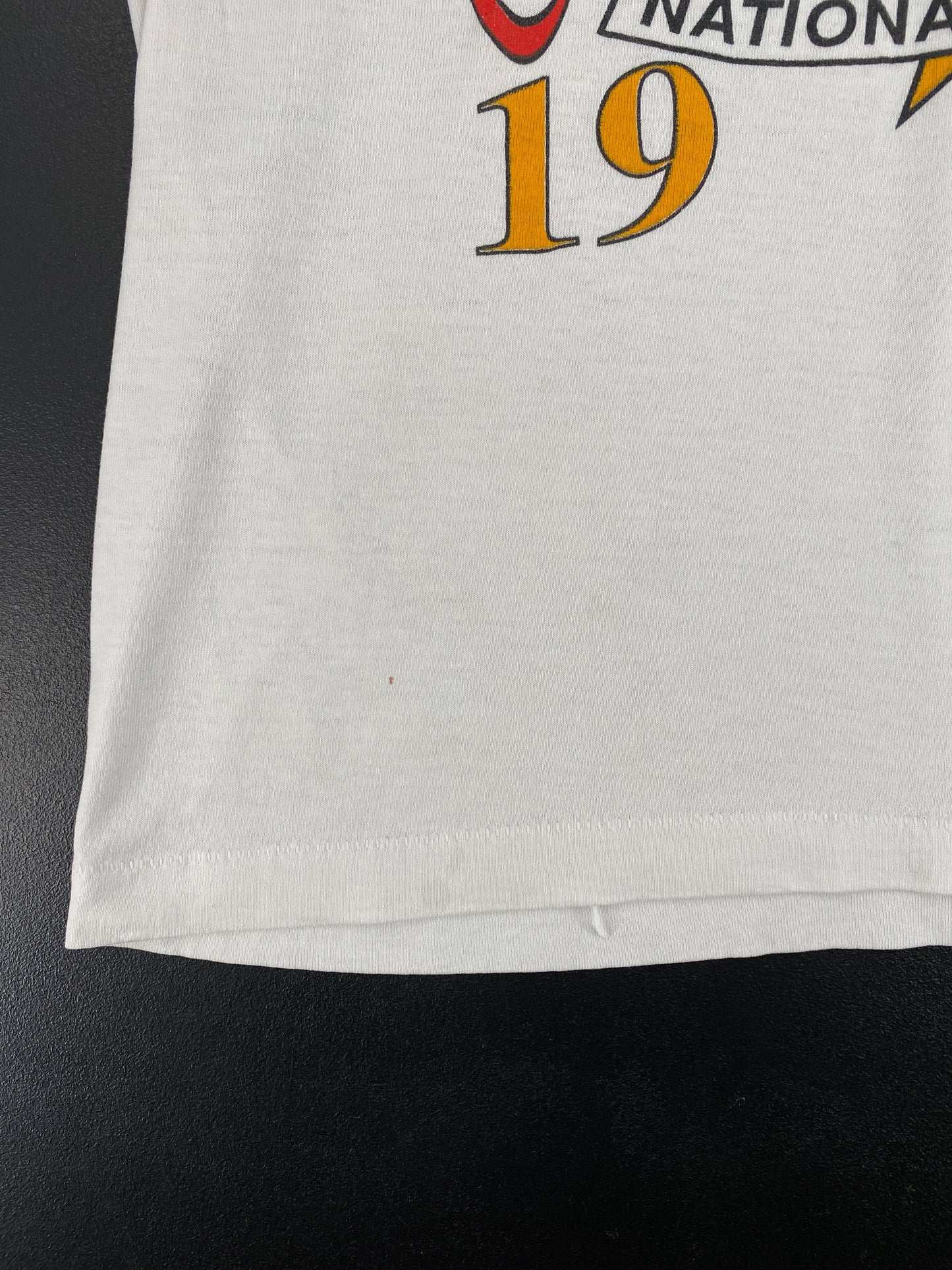 1989 CHICAGO CUBS Made in USA Size L Vintage MLB T-Shirt / G3500T