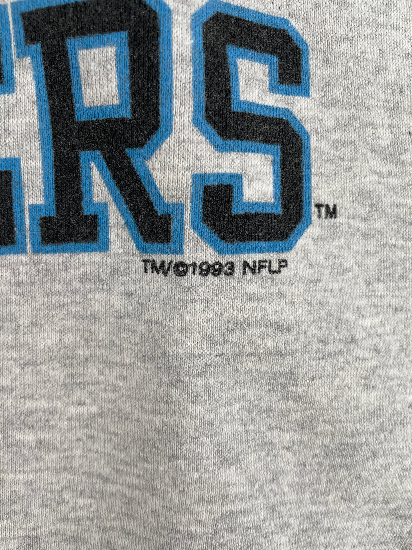 1993 CAROLINA PANTHERS Made in USA Size L Vintage NFL Sweat-shirt / F9518S