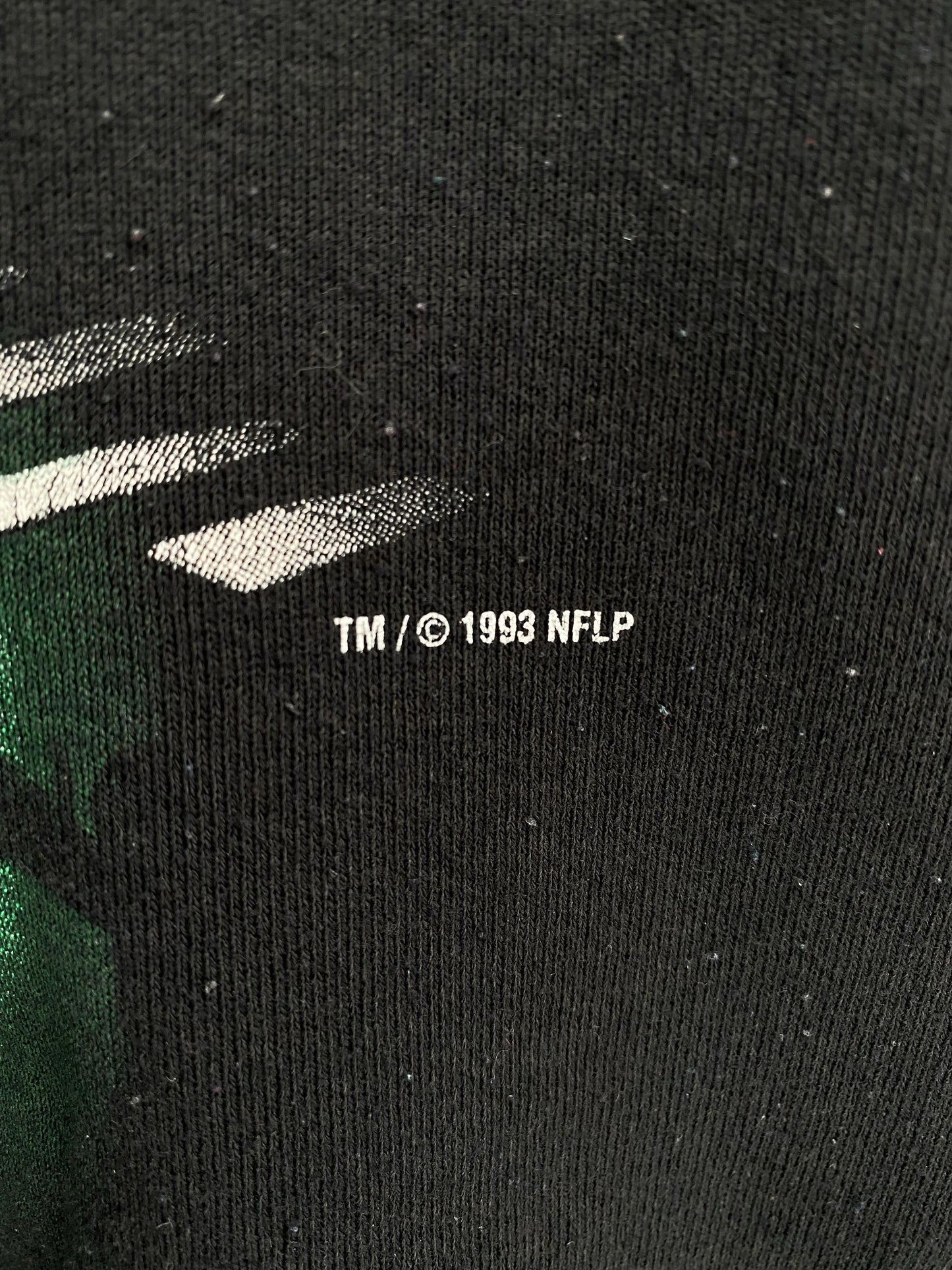 1993 LOONEY TUNES TAZ X PITTSBURGH STEELERS Size No Tag (Approx.L) Vintage NFL Sweat-Shirt/ F1824S