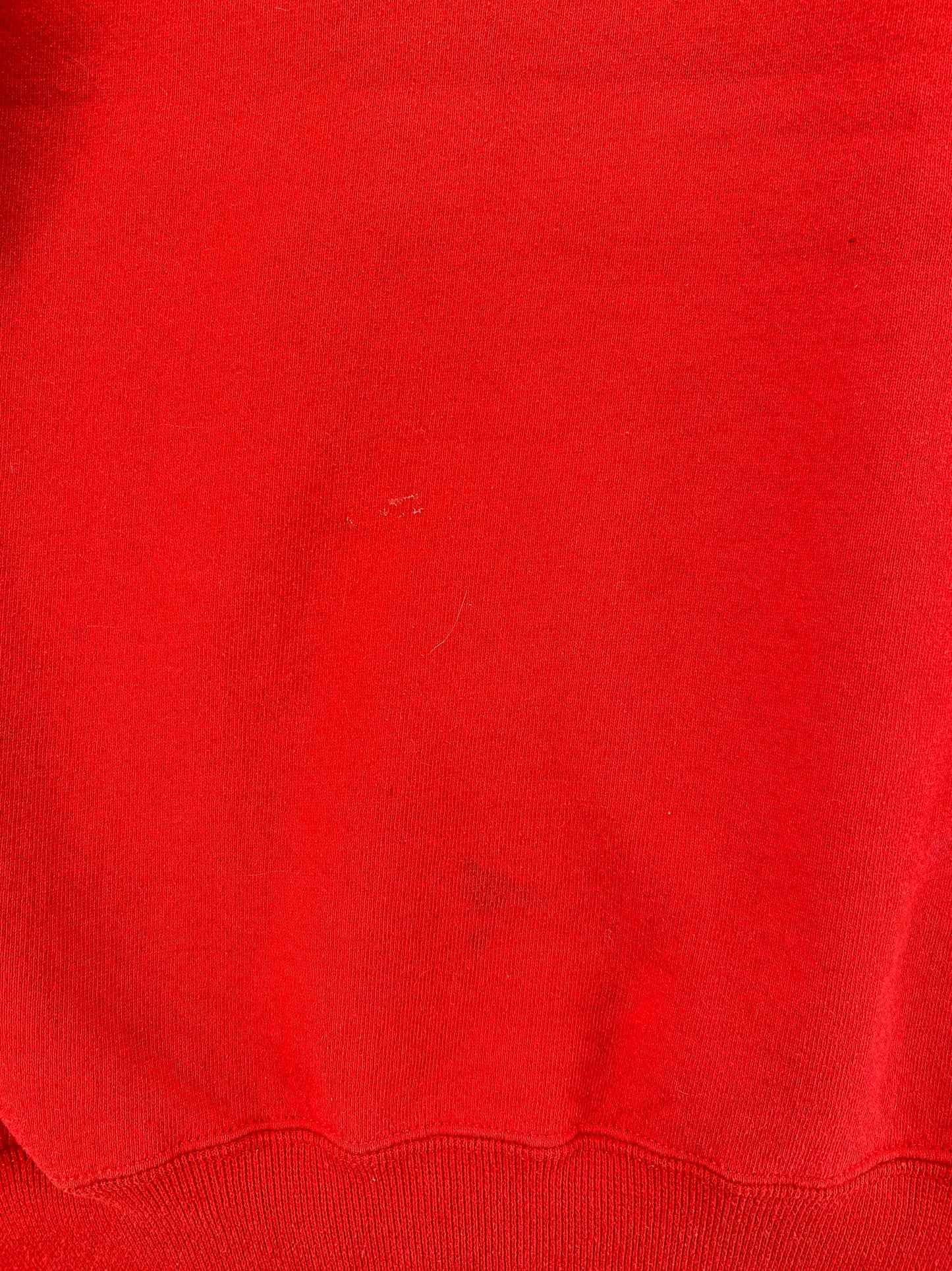 90’s RUSSELL x DETROIT RED WINGS Made in USA Size XXL NHL Sweat-Shirt / E8329S