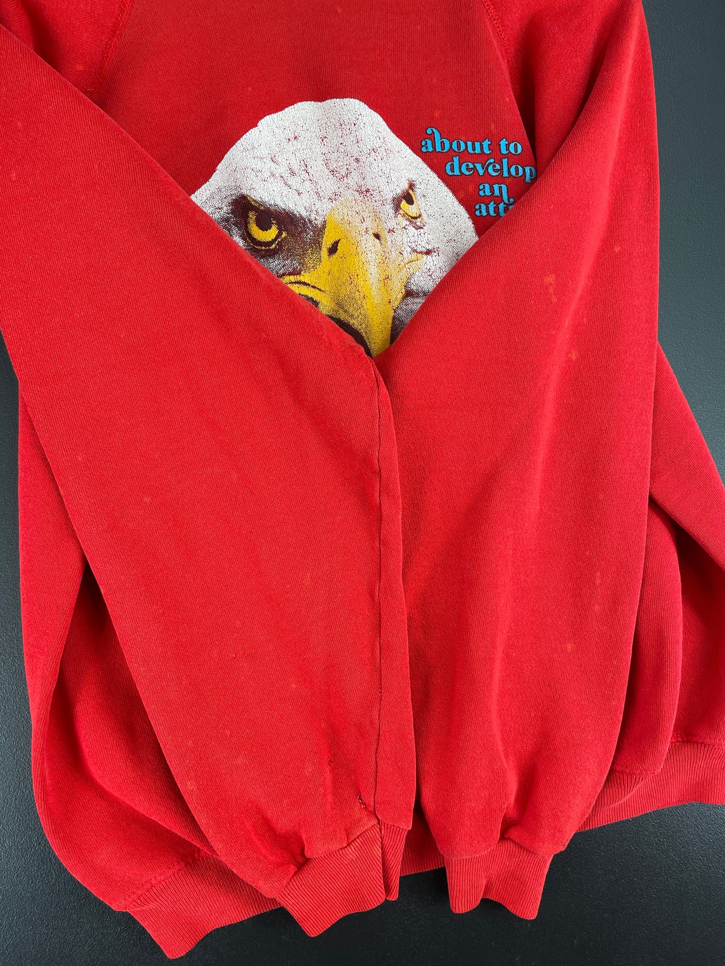 1990 HARLEY DAVIDSON Size Approx.L Vintage Sweat-Shirt / E9890S