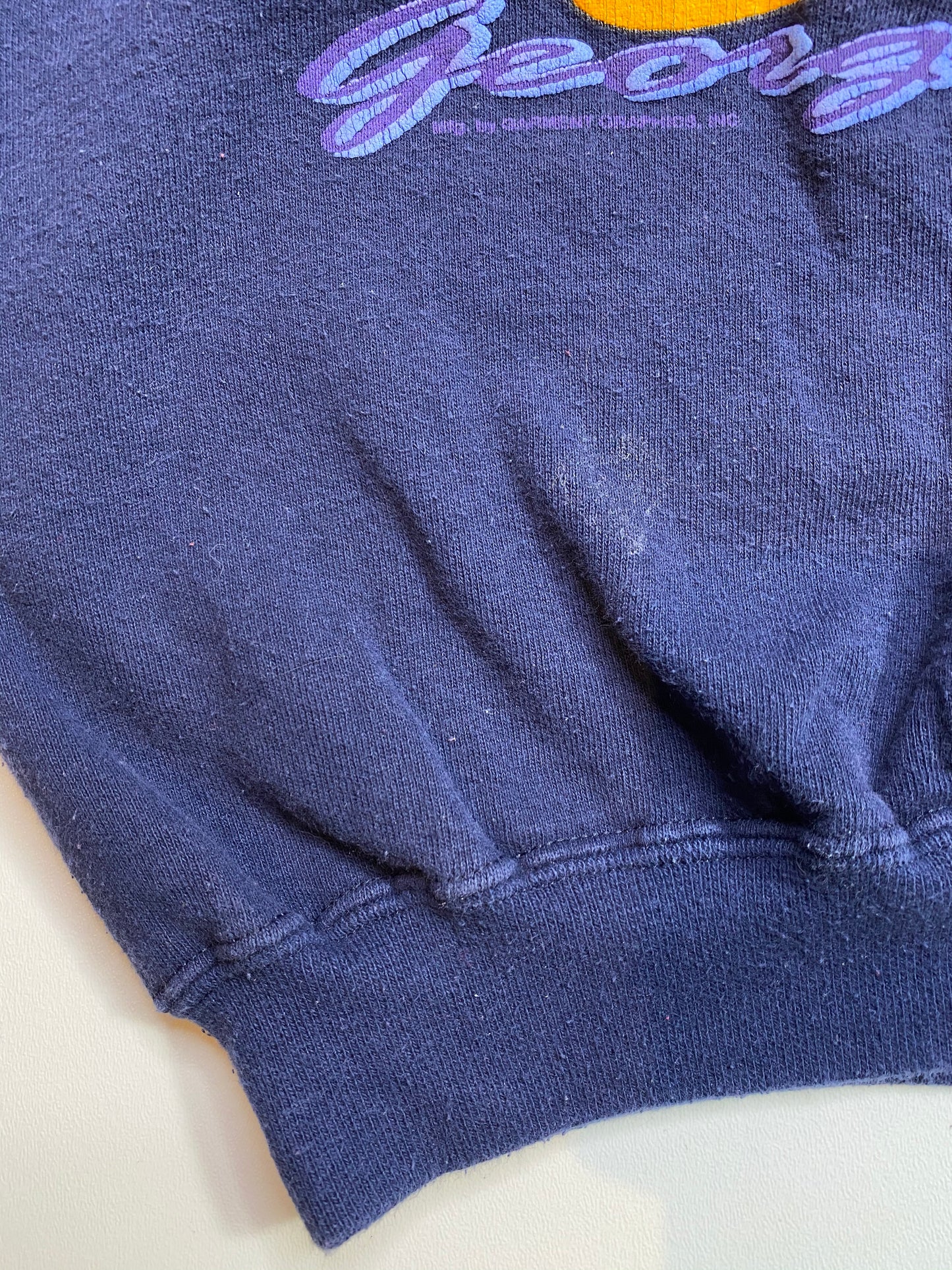 1995 Looney Tunes Tweety Size Approx.L Vintage Sweat-Shirt / 5429