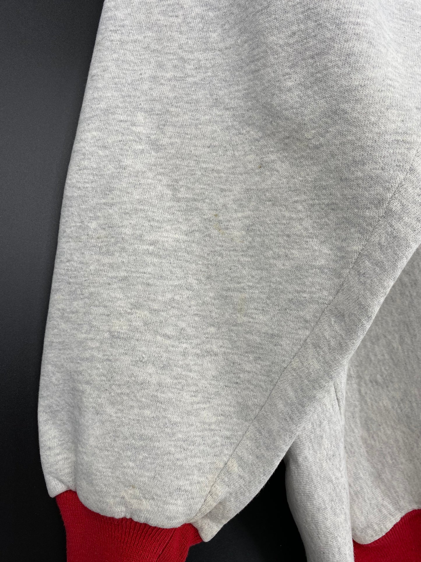 1995 RED WINGS STANLEY CUP Made in USA Size XL Vintage NFL Sweat-shirt / 8989