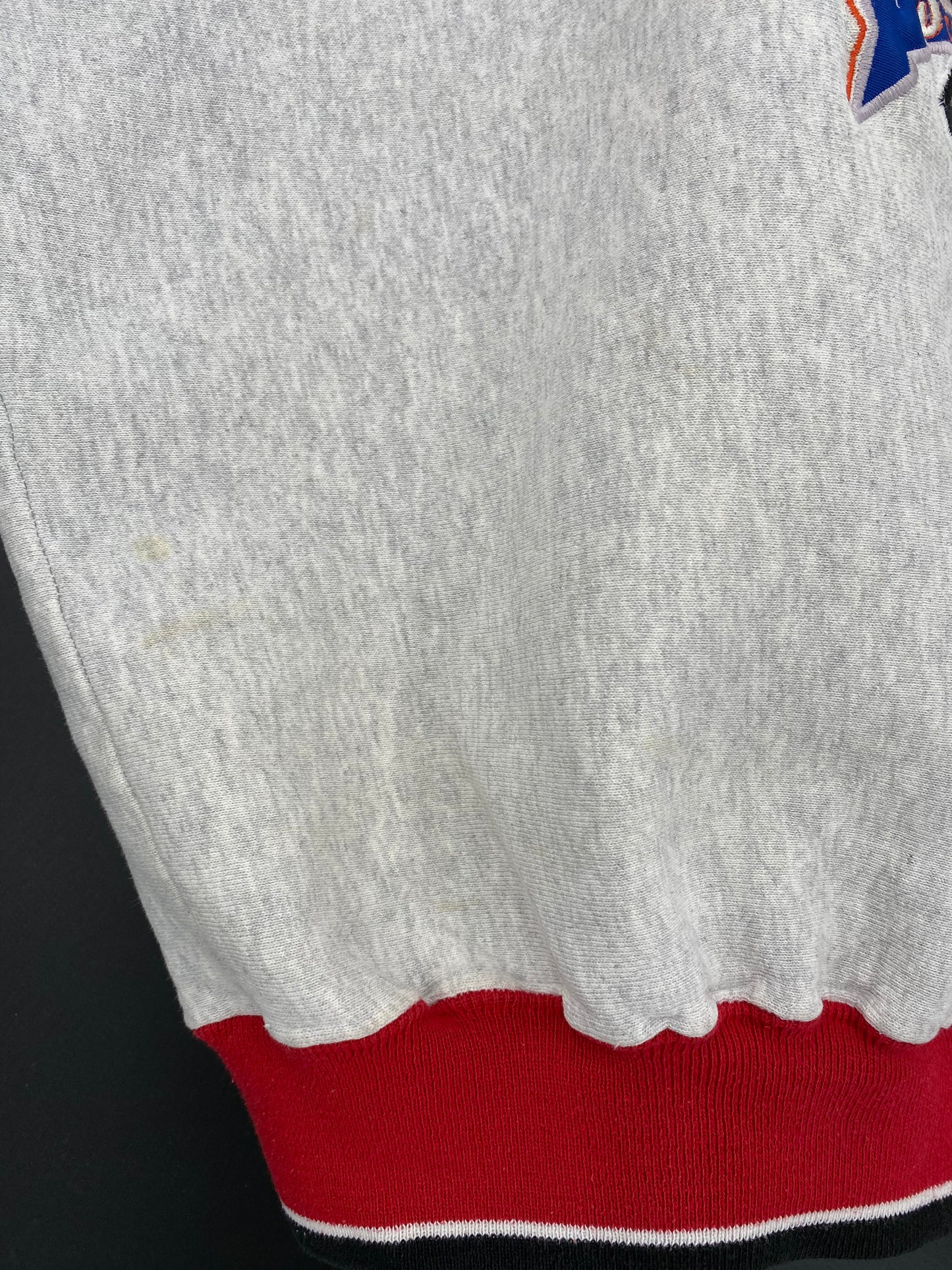 1995 RED WINGS STANLEY CUP Made in USA Size XL Vintage NFL Sweat-shirt / 8989