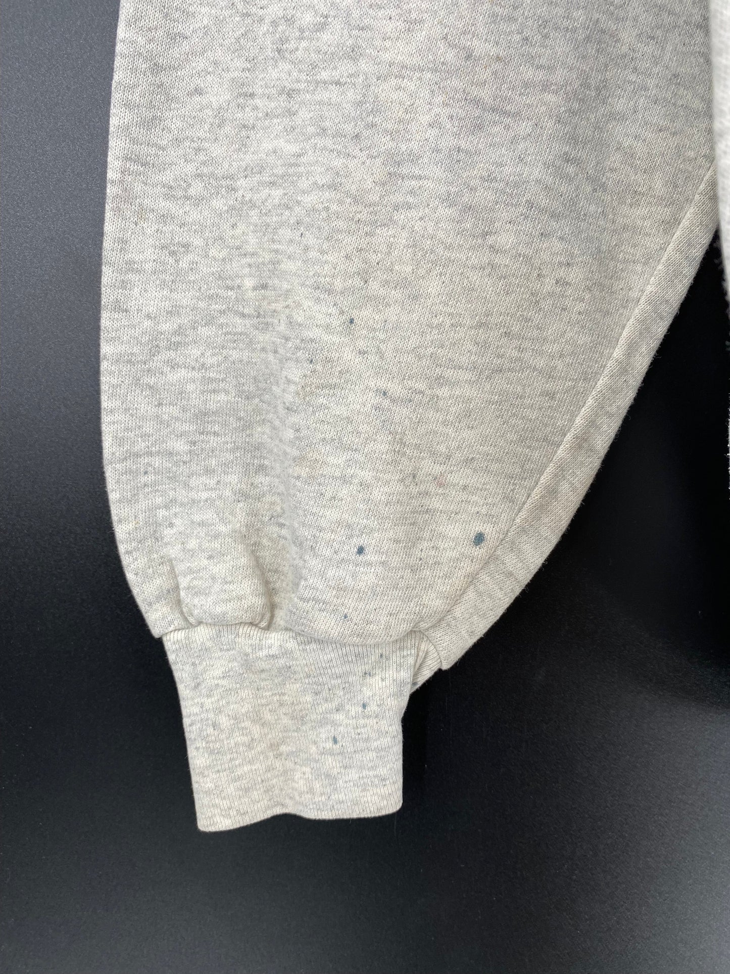 1994 MAIAMI DOLPHINS x LOONEY TUNES TAZ Made in USA Size XL Vintage Sweat-shirt / A2056