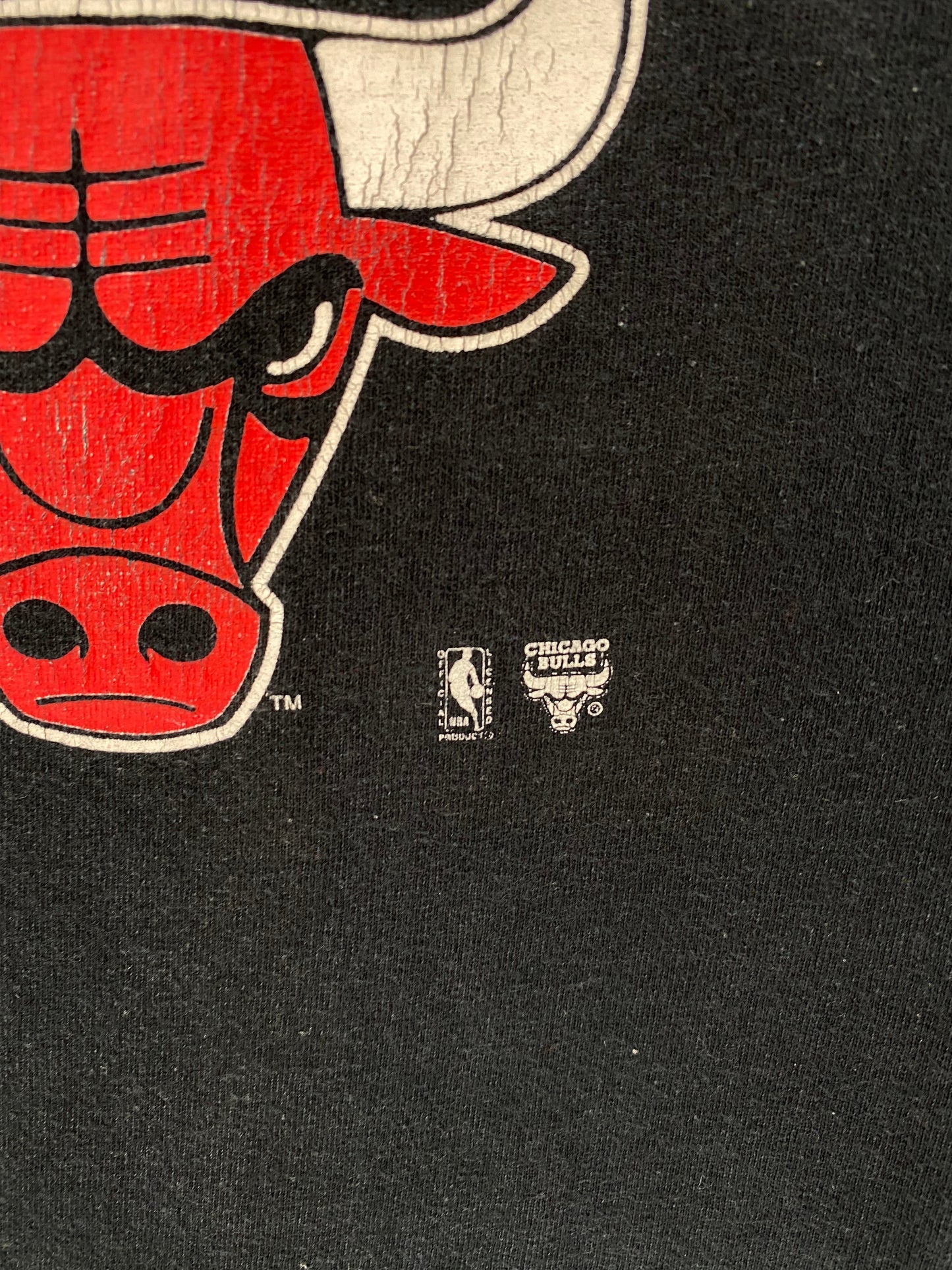00’ CHICAGO BULLS Size L Vintage NBA T- Shirt / A3586