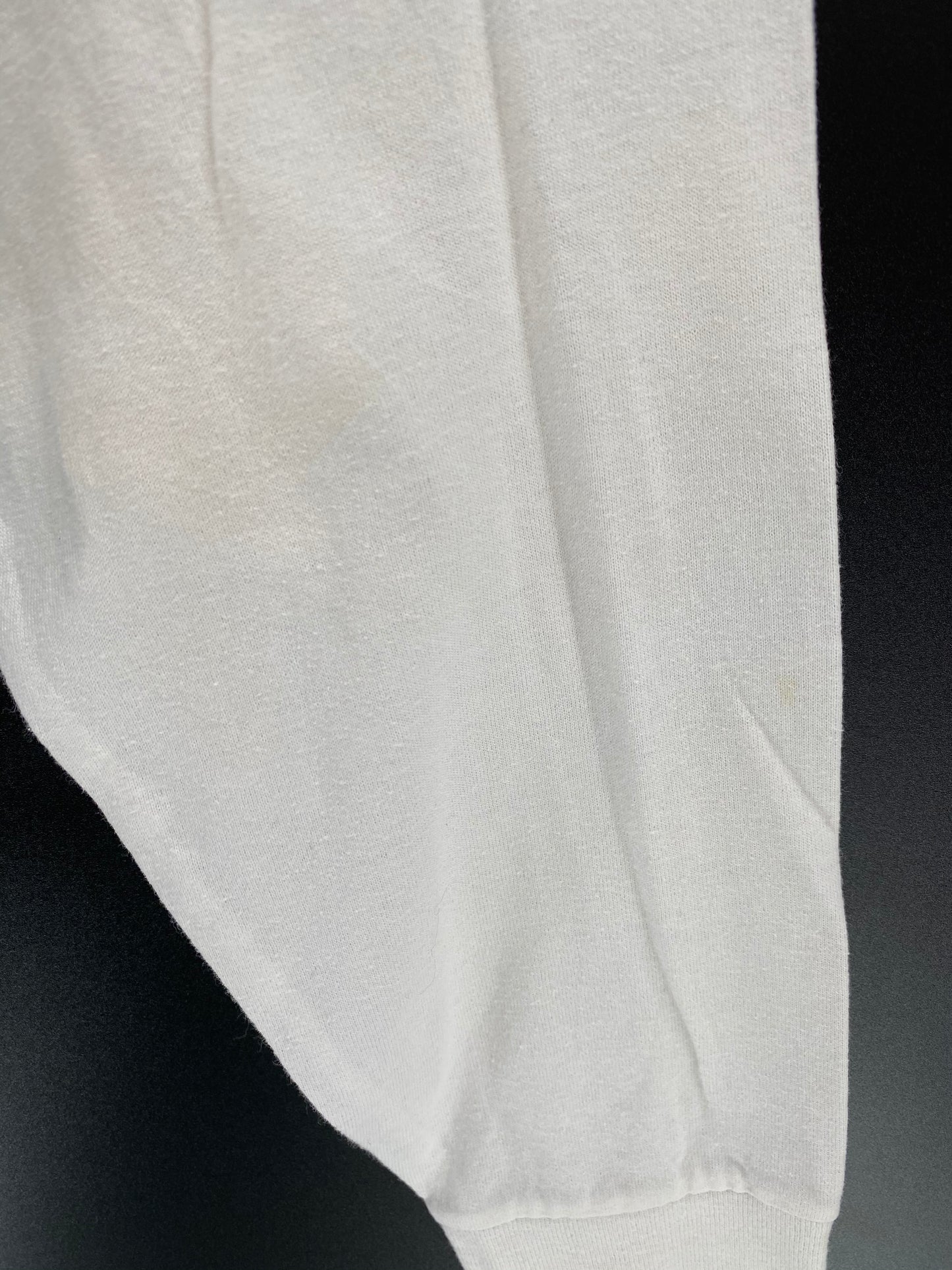 1995 LOONEY TUNES TAZ Made in USA Size M Vintage Long Sleeve T-Shirt / 8921