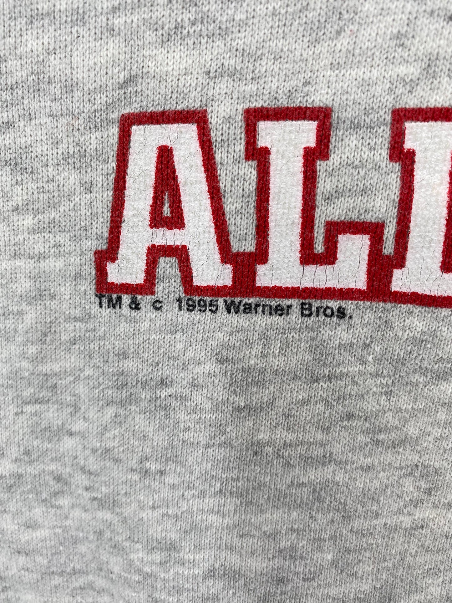 1995 LOONEY TUNES TWEETY Size XL Vintage Sweat-shirt / K1435