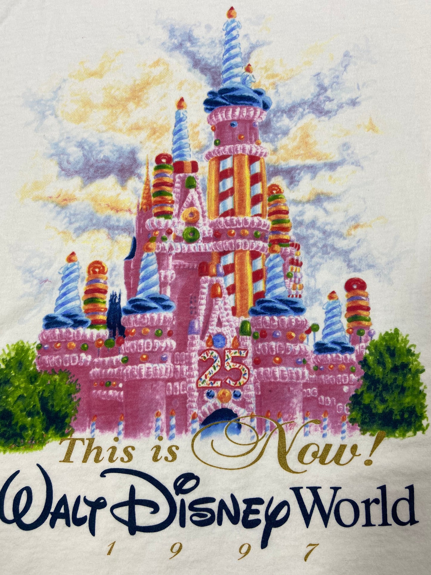 90's Vintage Walt Disney World Made in USA T-Shirts / 2369