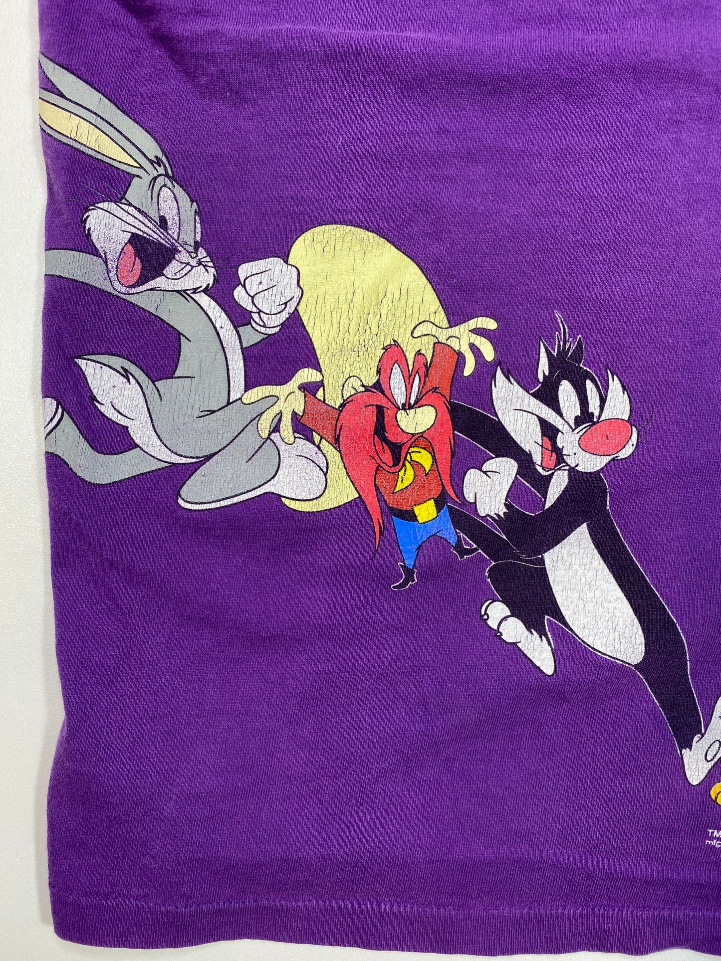 1993 Looney Tunes Vintage T-Shirt / 4771