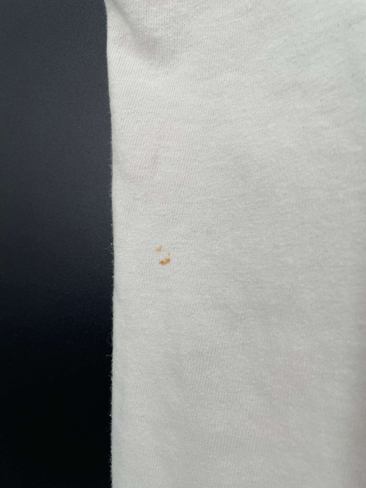 1994 MIAMI DOLPHINS x Champion (No tag) Approx. Size L Vintage NFL T-shirt / A6119