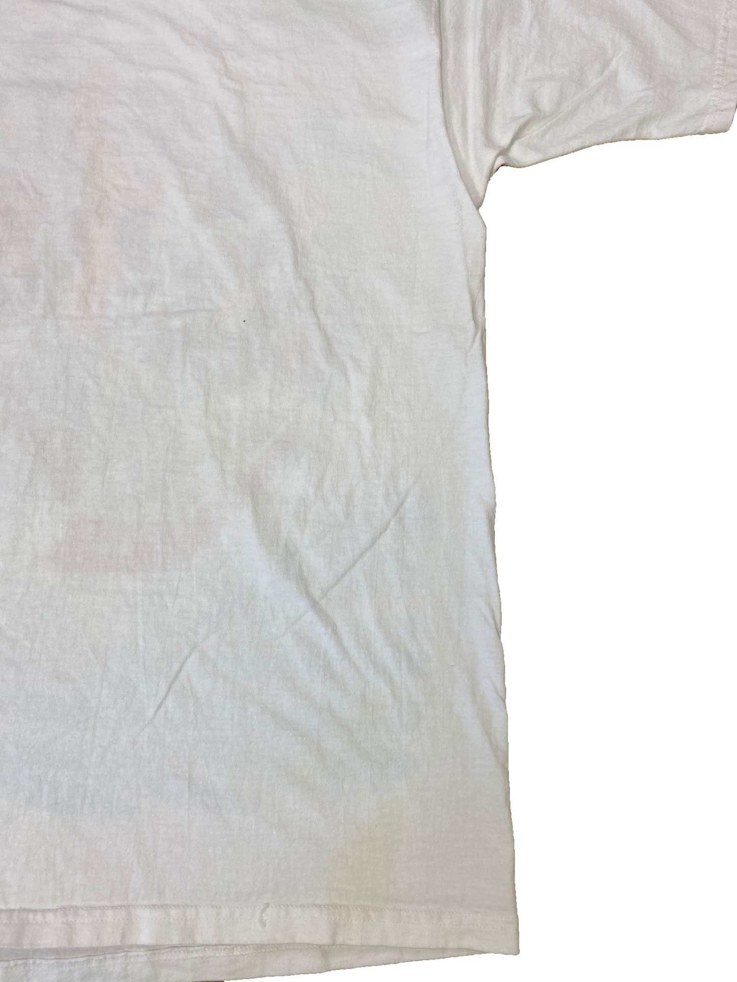 90's Taz Looney Tunes Vintage T-Shirt / 3157