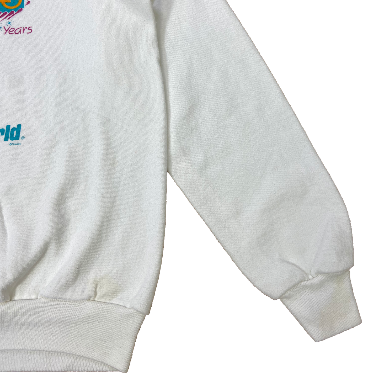 90's Walt Disney World 20th Made in USA Vintage Sweat-Shirt / 3354