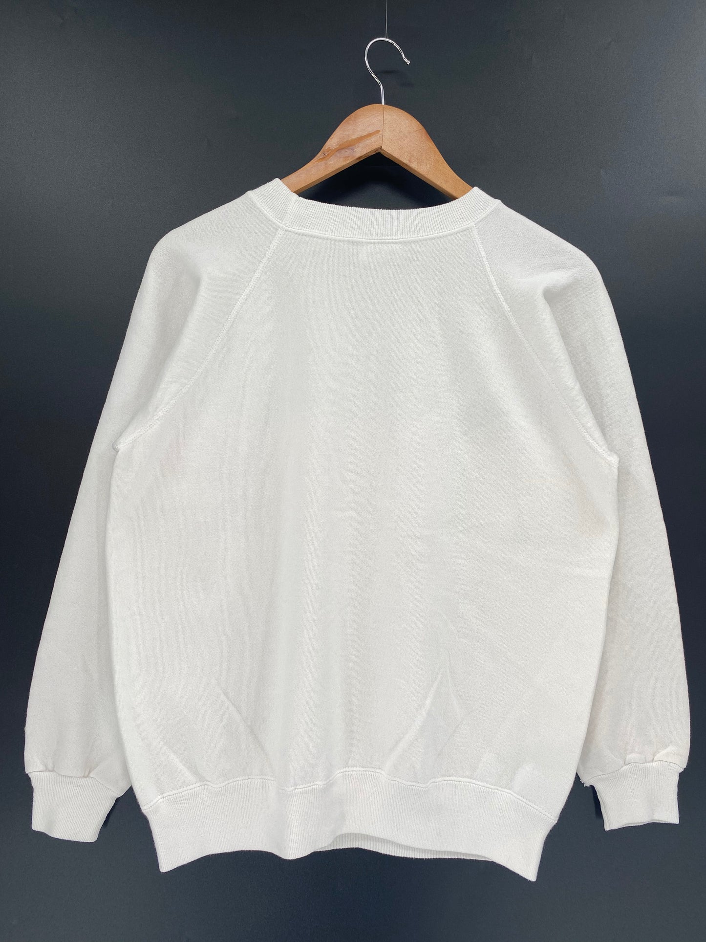 80’s~Early90’s Apple Size L Sweat-Shirt / K1128