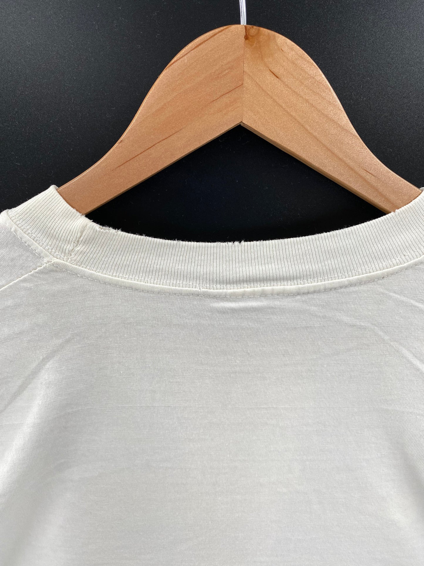 1995 GOOSE BUMPS Size No tag(Approx.L) Vintage T-Shirts / A6217