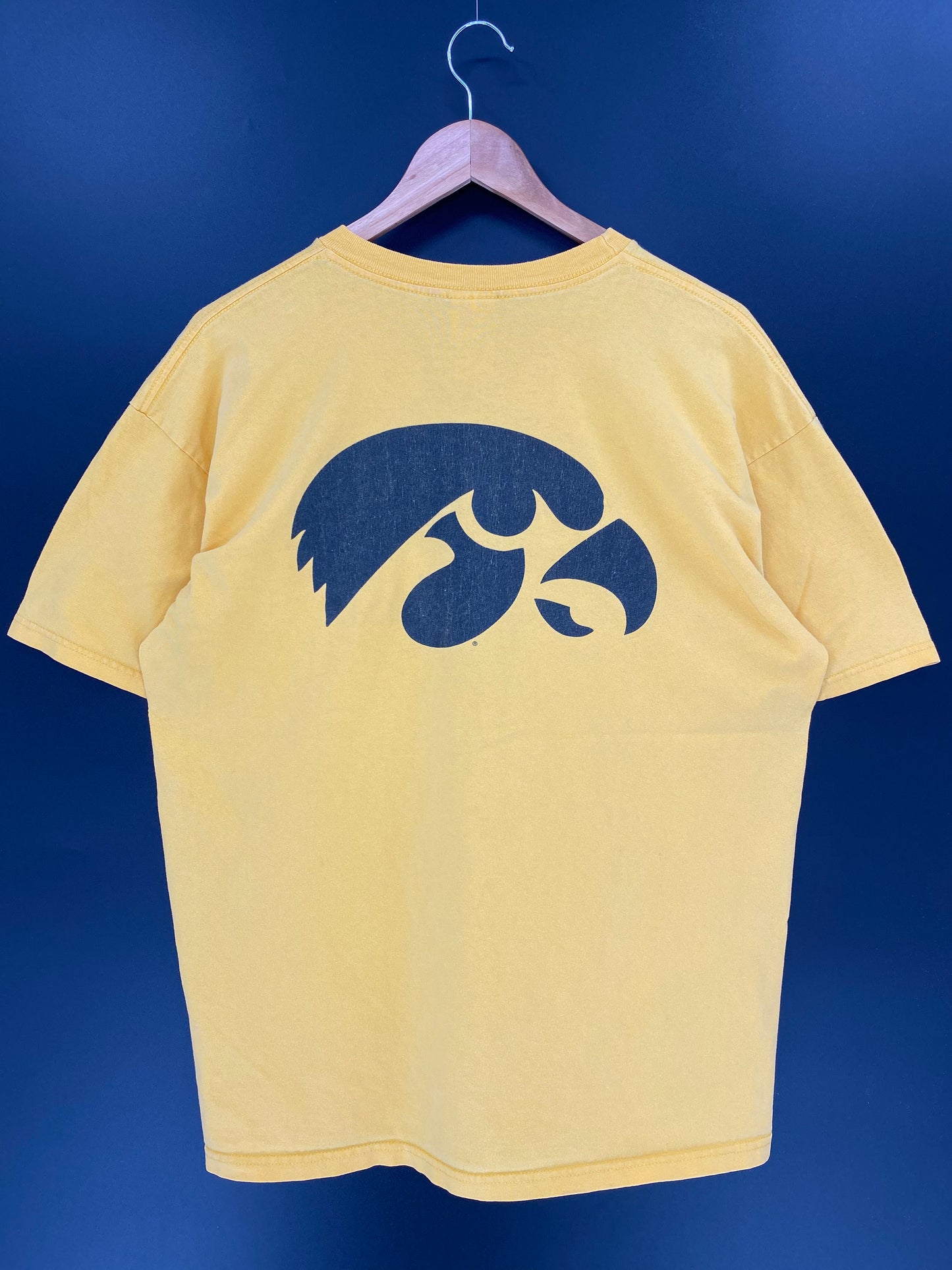 00’ NIKE GO HAWKS Size L Vintage NBA T-shirt /9412