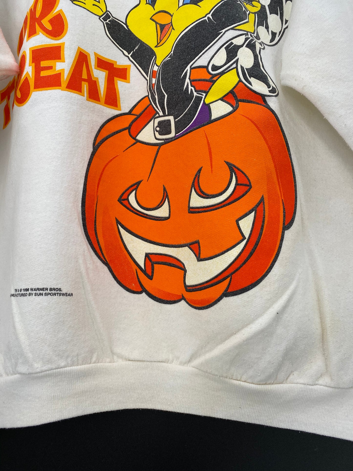 1996 LOONEY TUNES TWEETY Size No Tag (Approx. L) Vintage Sweat-shirt / 8359