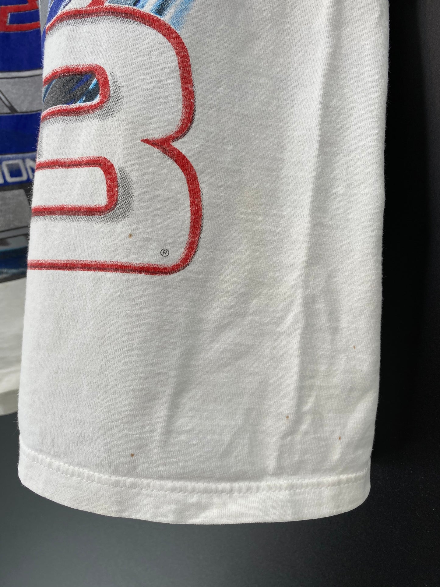 00’ NASCAR DALE EARNHARDT JR. Made in USA Size L Vintage Racing T-Shirt / 9123