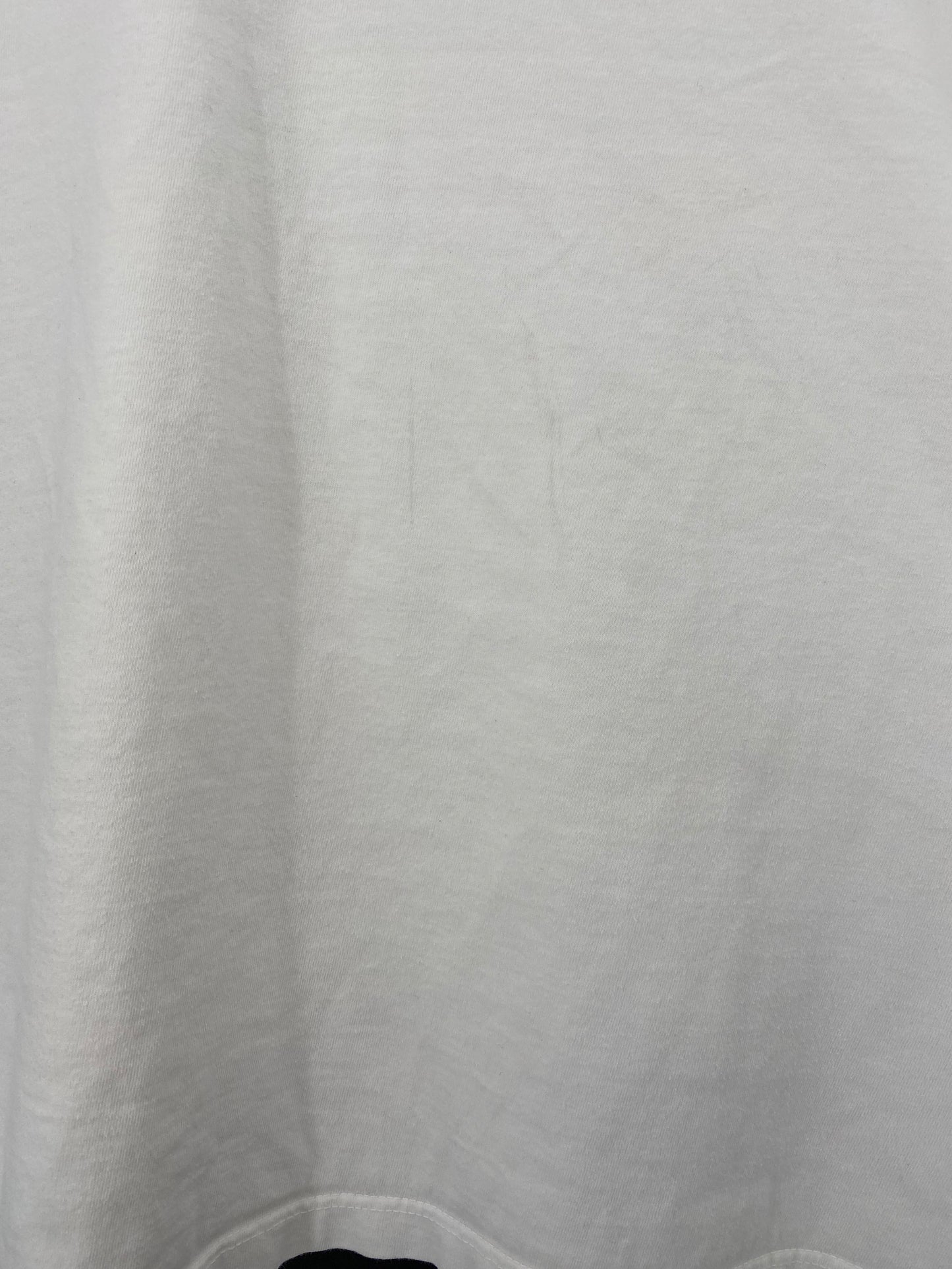 POLO BEAR RALPH LAUREN Size No tag (Approx. XXL)  Vintage T-shirt /9307