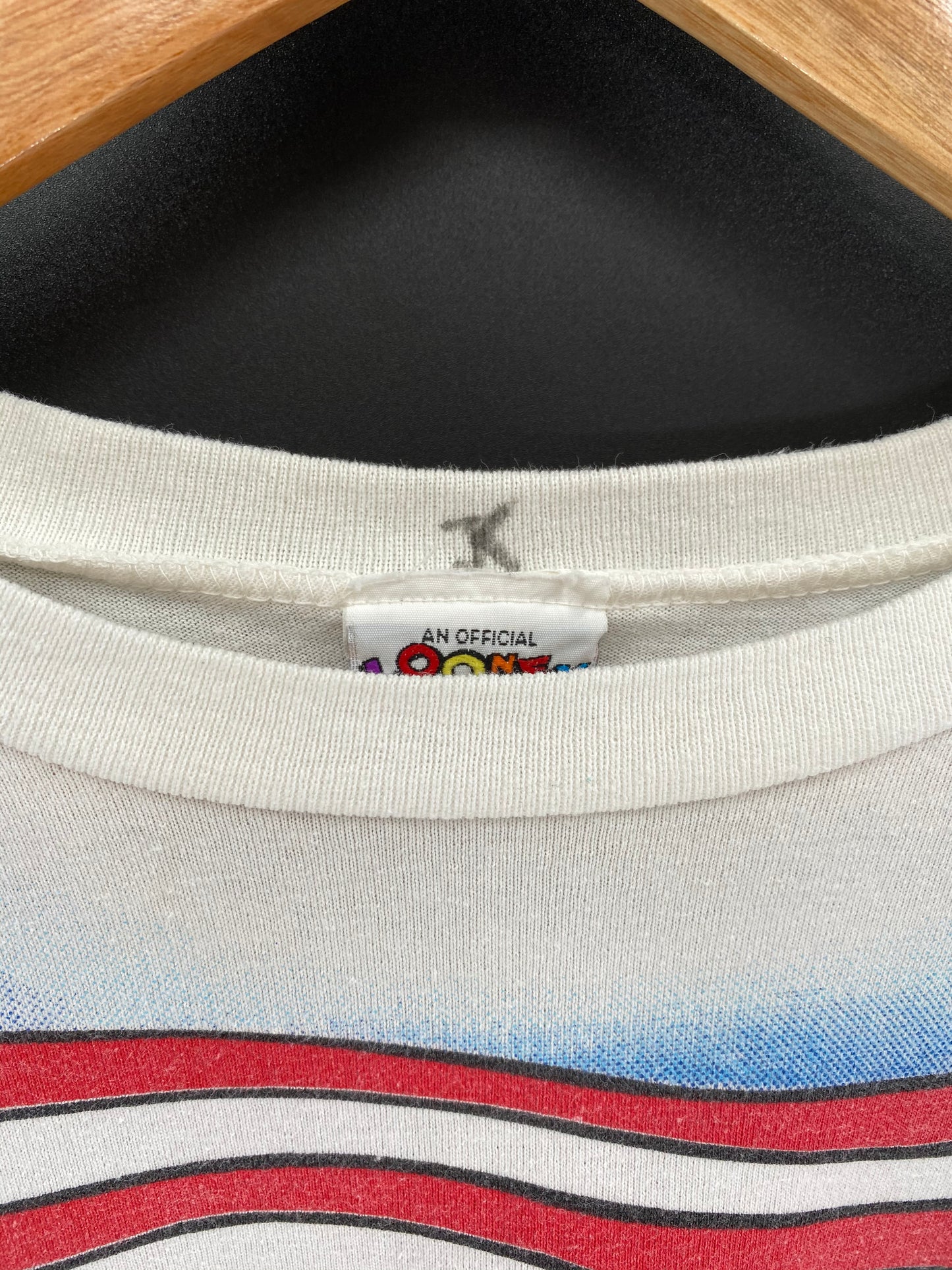 1995 LOONEY TUNES TAZ Made in USA Size M Vintage Long Sleeve T-Shirt / 8921