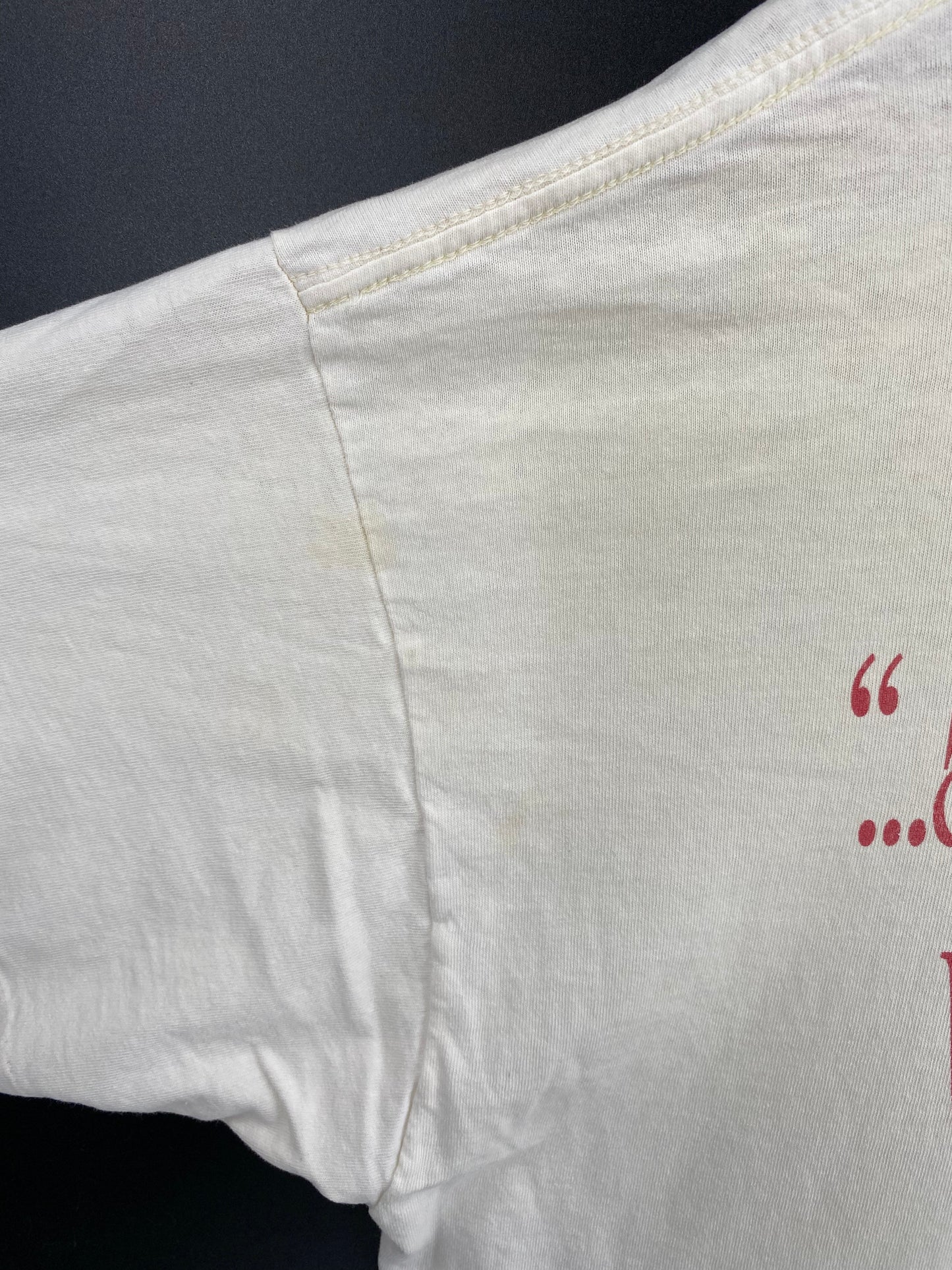 1993 LIVING EPISTLES JESUS Made in USA Size XL Vintage T-Shirt  / A4933