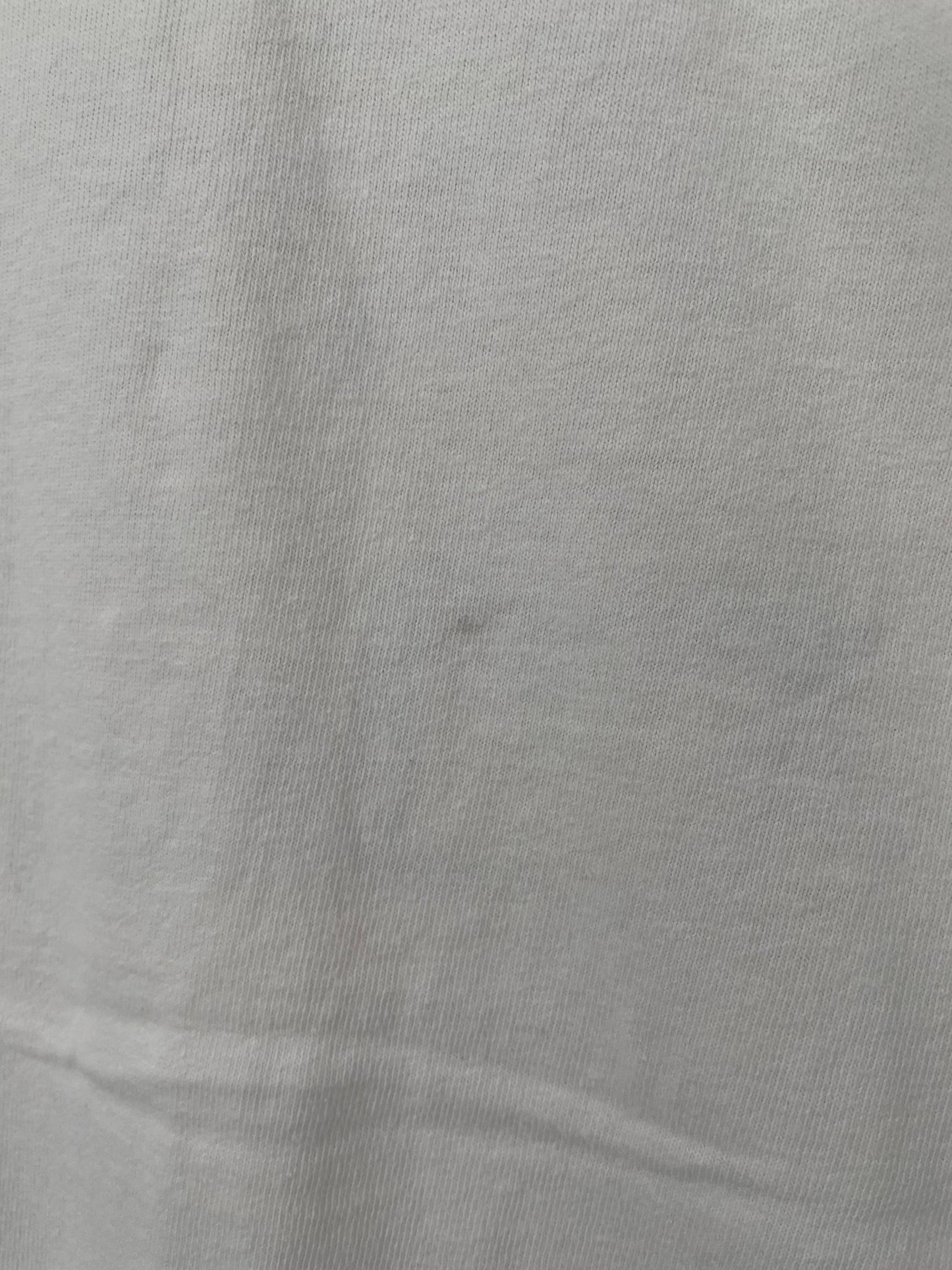 1994 MIAMI DOLPHINS x Champion (No tag) Approx. Size L Vintage NFL T-shirt / A6119