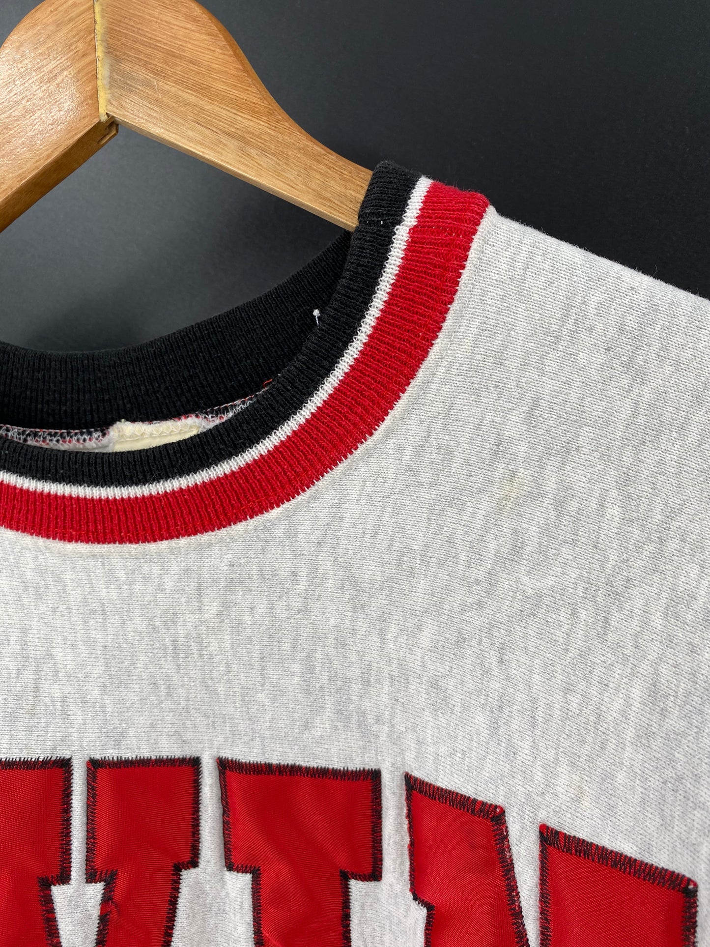 1995 RED WINGS STANLEY CUP Made in USA Size XL Vintage NFL Sweat-shirt / 8989