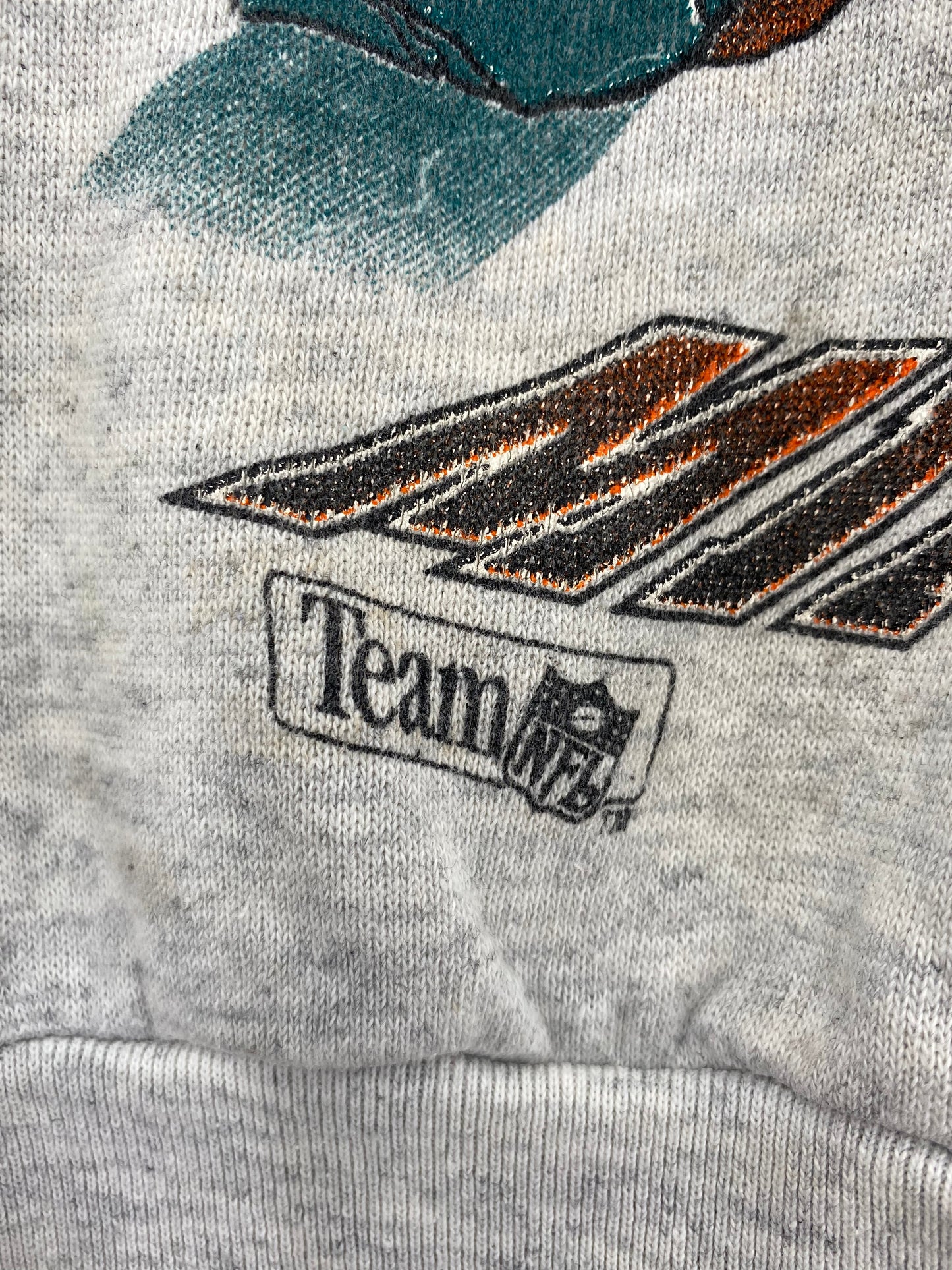 1994 MAIAMI DOLPHINS x LOONEY TUNES TAZ Made in USA Size XL Vintage Sweat-shirt / A2056