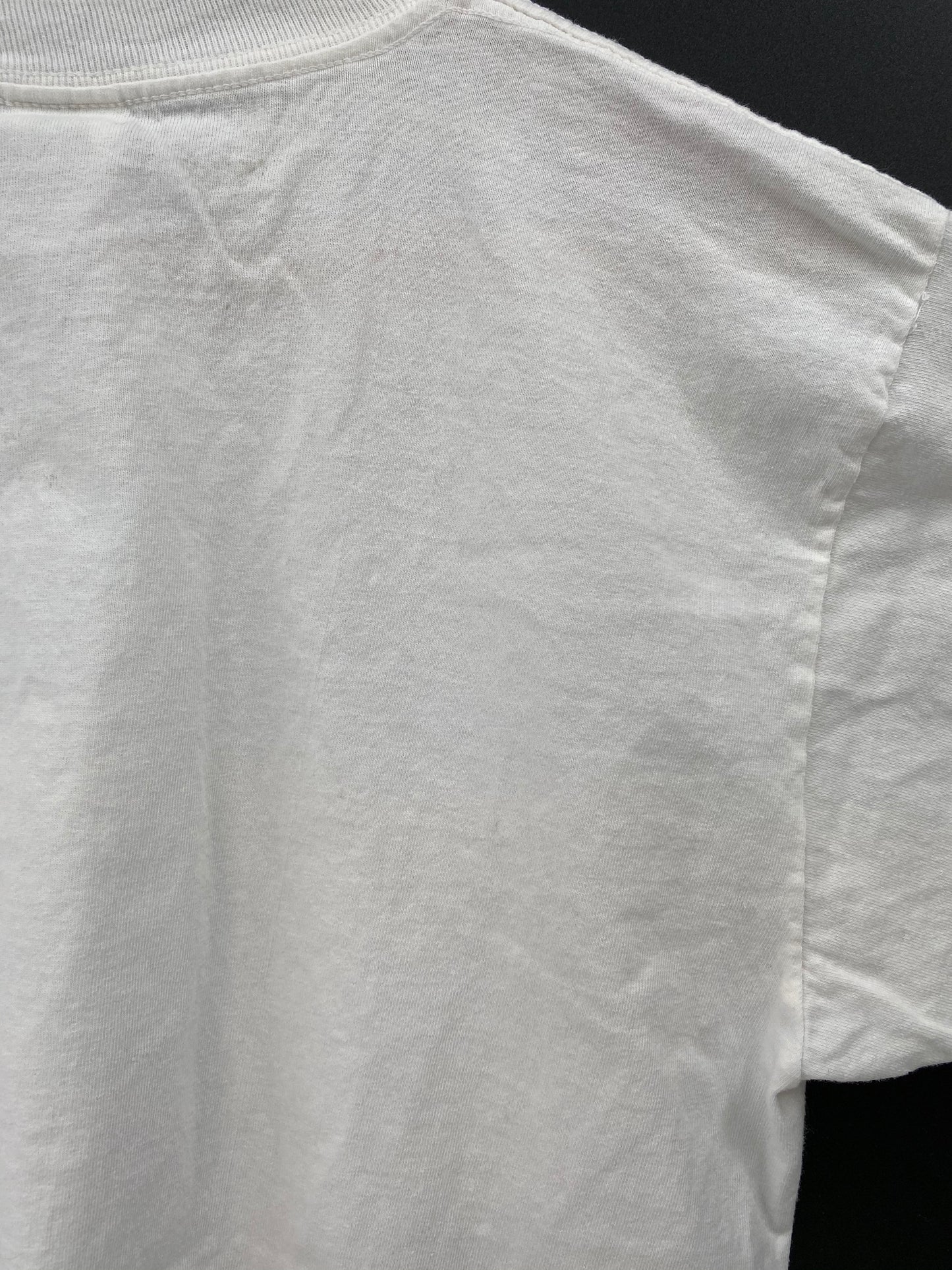 00’ PATAGONIA Made in USA Size M Vintage T-shirt  / 8135