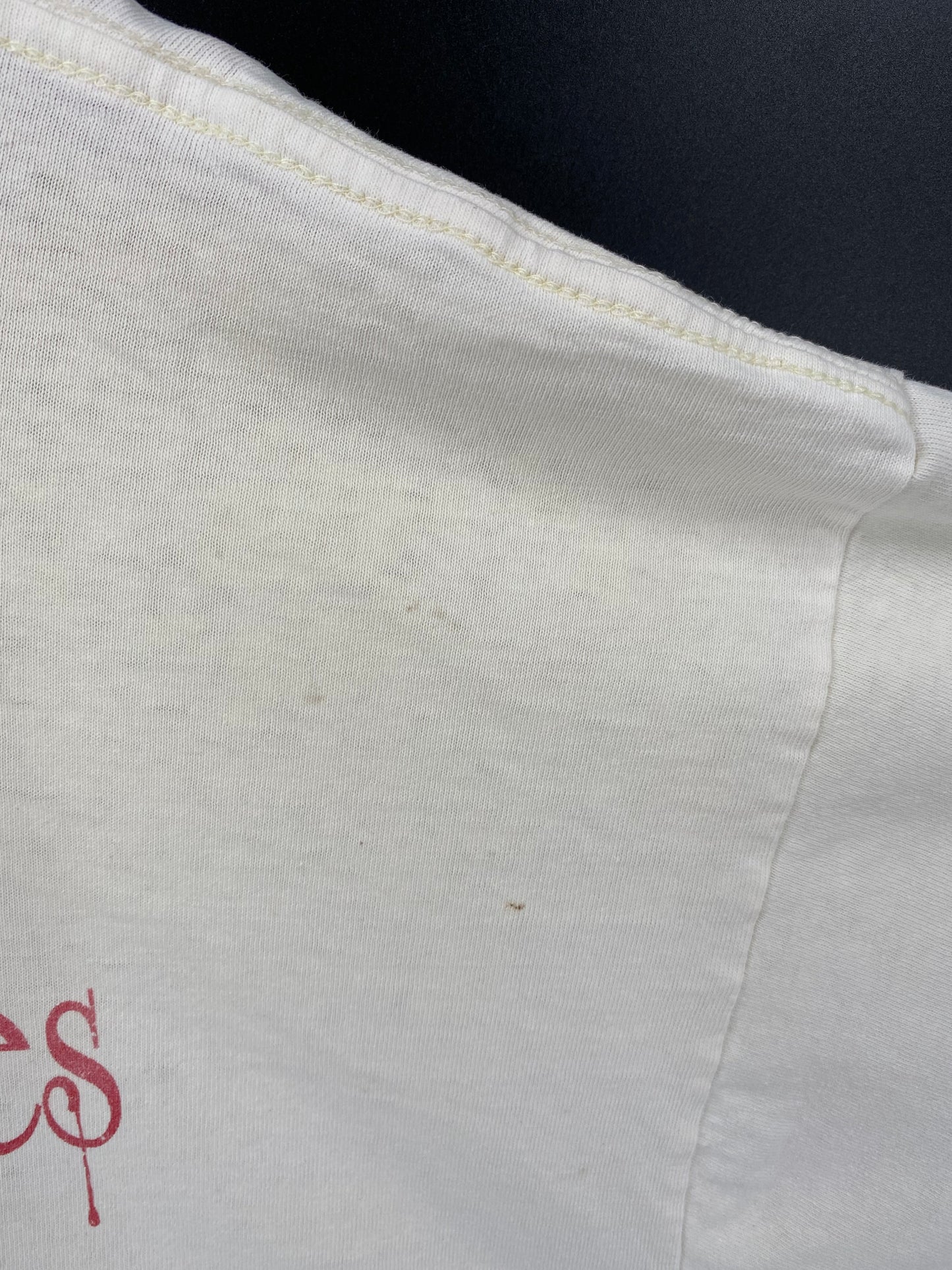 1993 LIVING EPISTLES JESUS Made in USA Size XL Vintage T-Shirt  / A4933