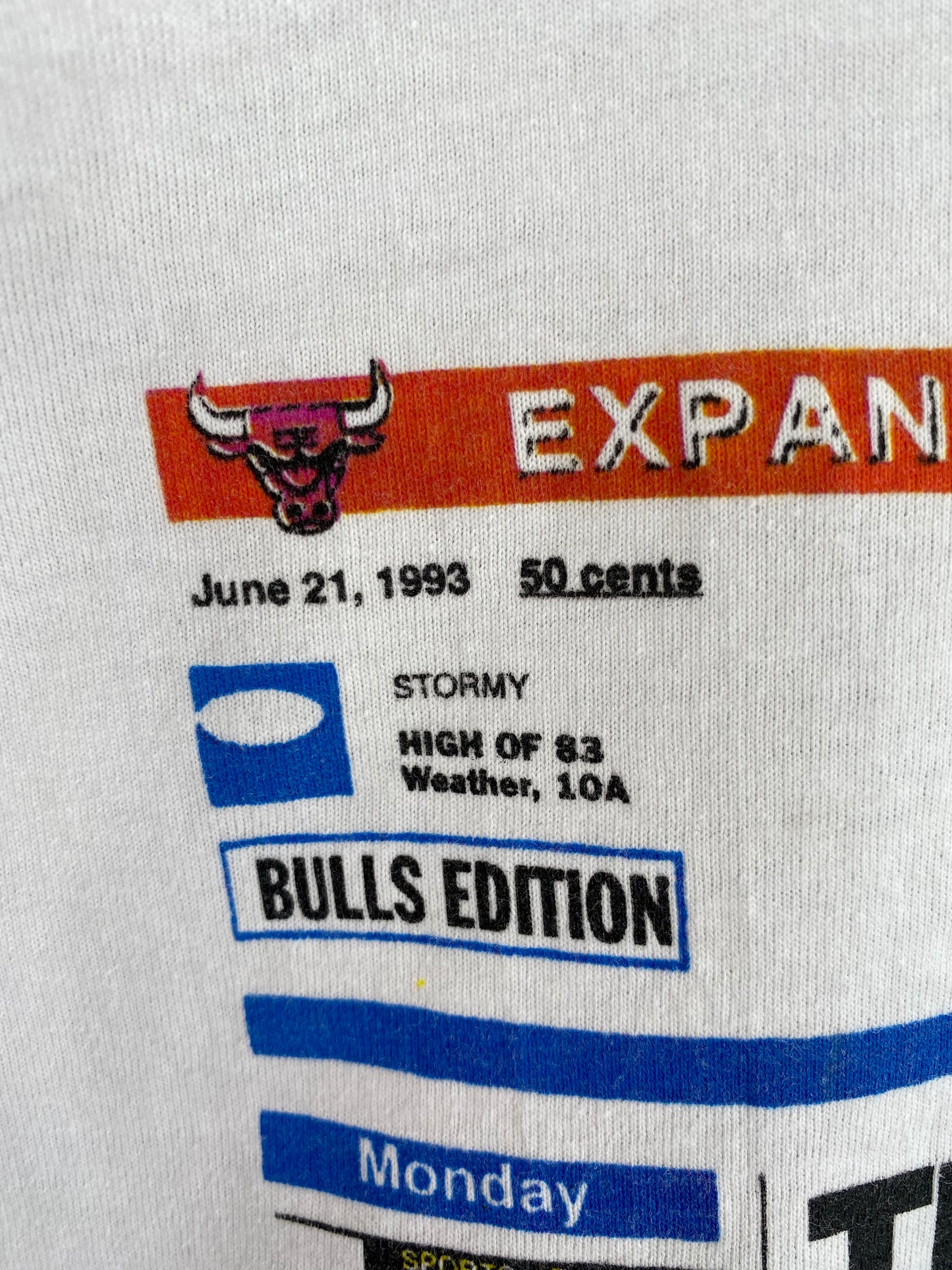 1993 CHICAGO BULLS Made in USA Size L Vintage NBA T-shirt /  9539