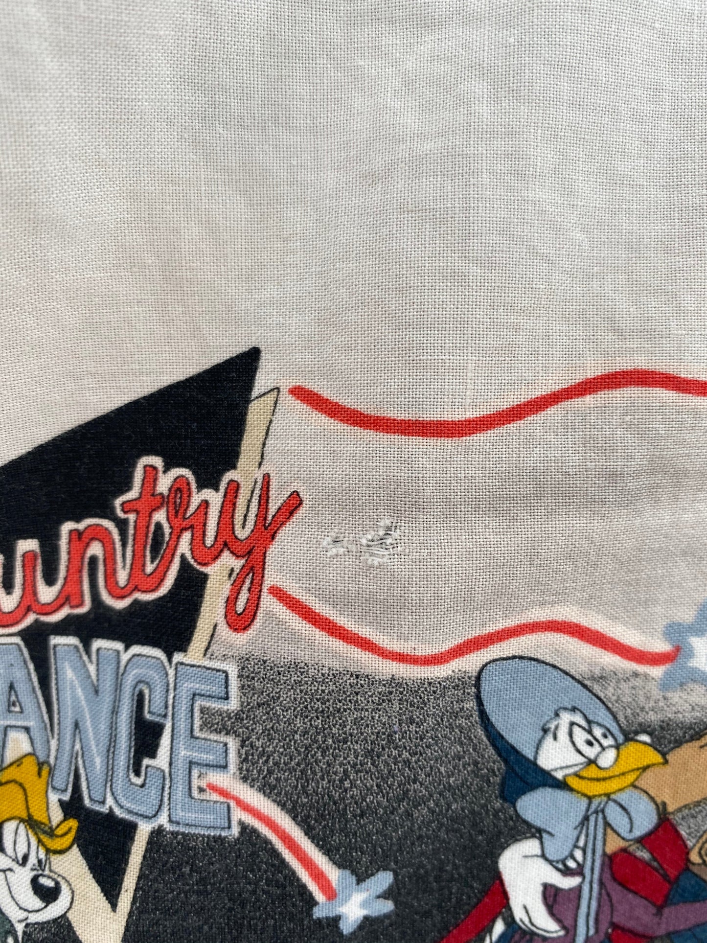 1994 LOONEY TUNES Made in USA Size XL Vintage Button Down Long Sleeve Shirt / E158