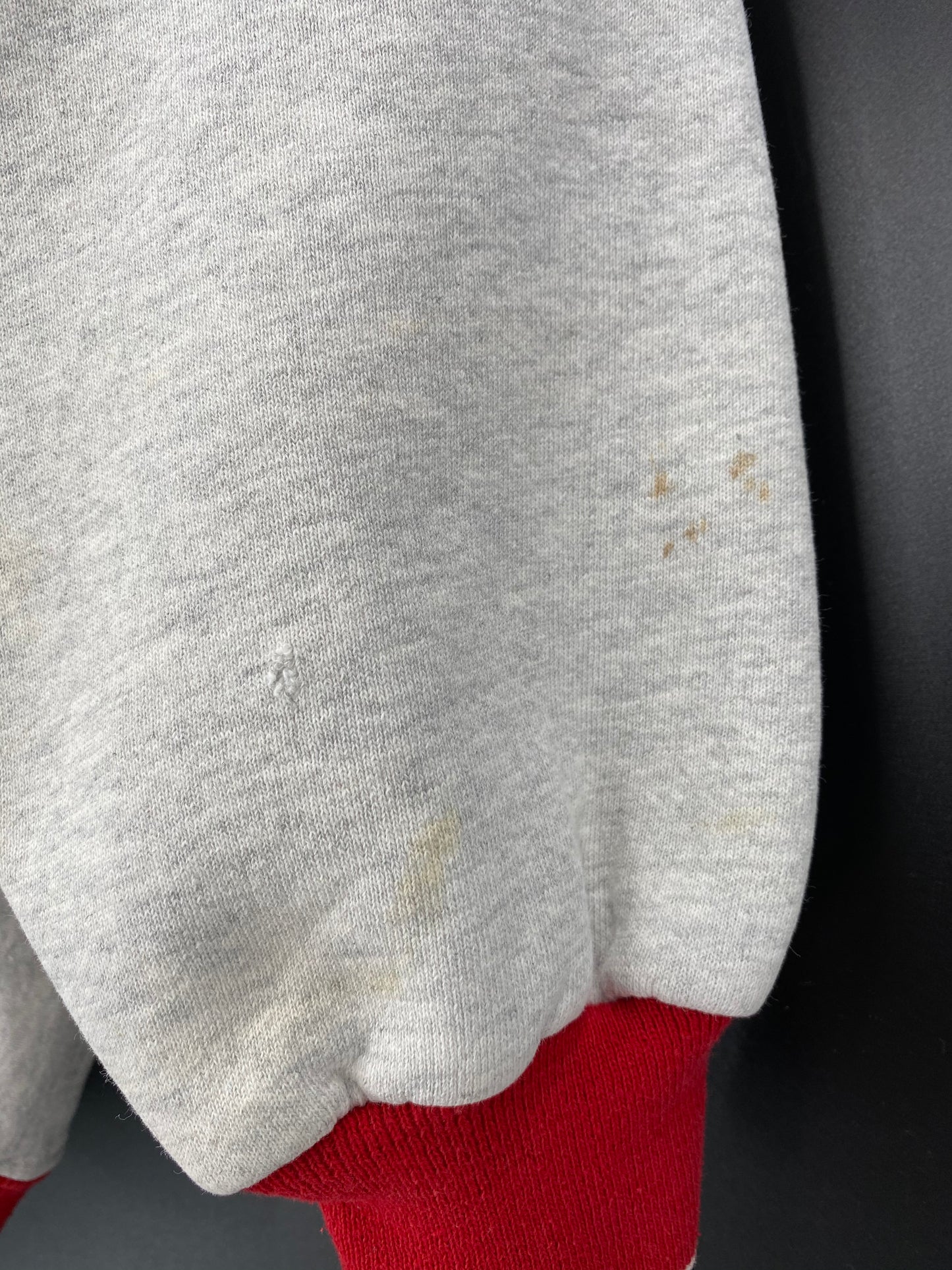 1995 RED WINGS STANLEY CUP Made in USA Size XL Vintage NFL Sweat-shirt / 8989